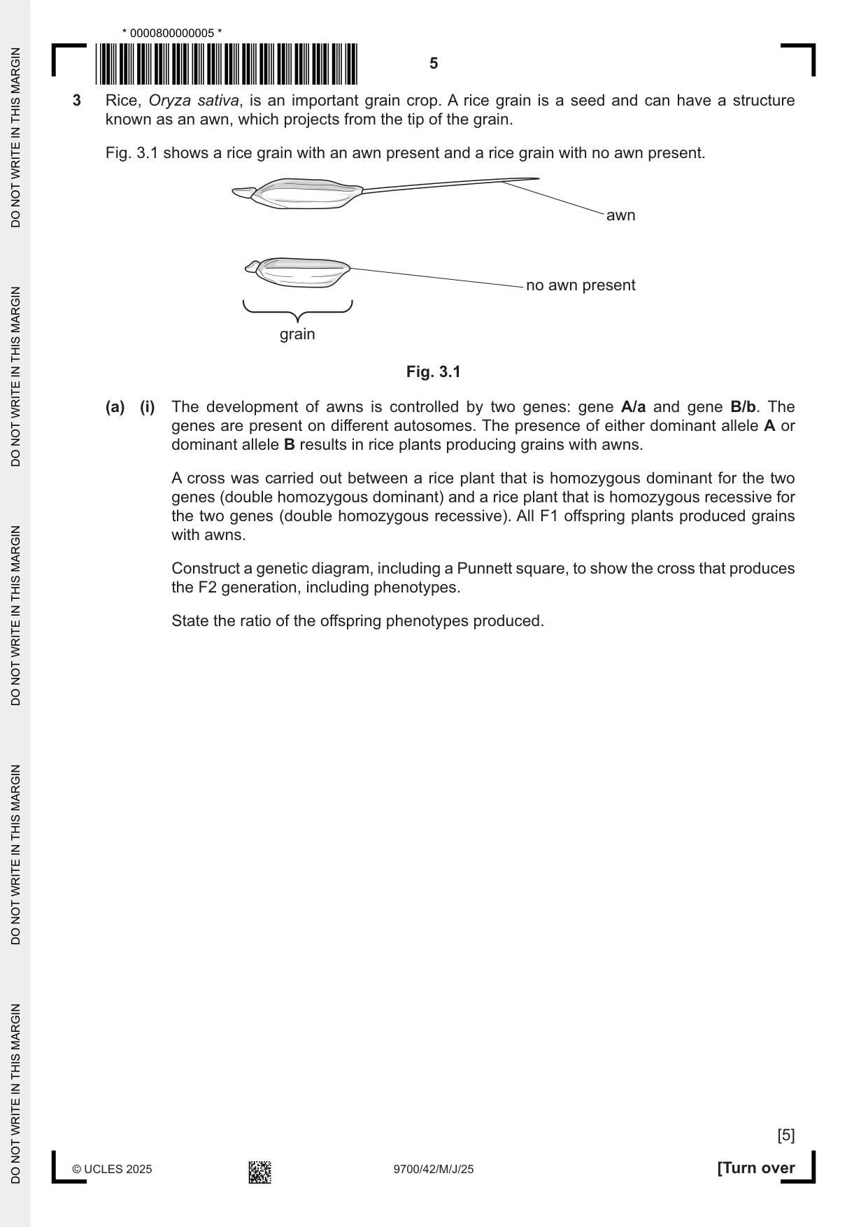 Cambridge A Level Biology 9700 2025 May/June Paper 4 · Variant 2 question paper, page 5 of 24