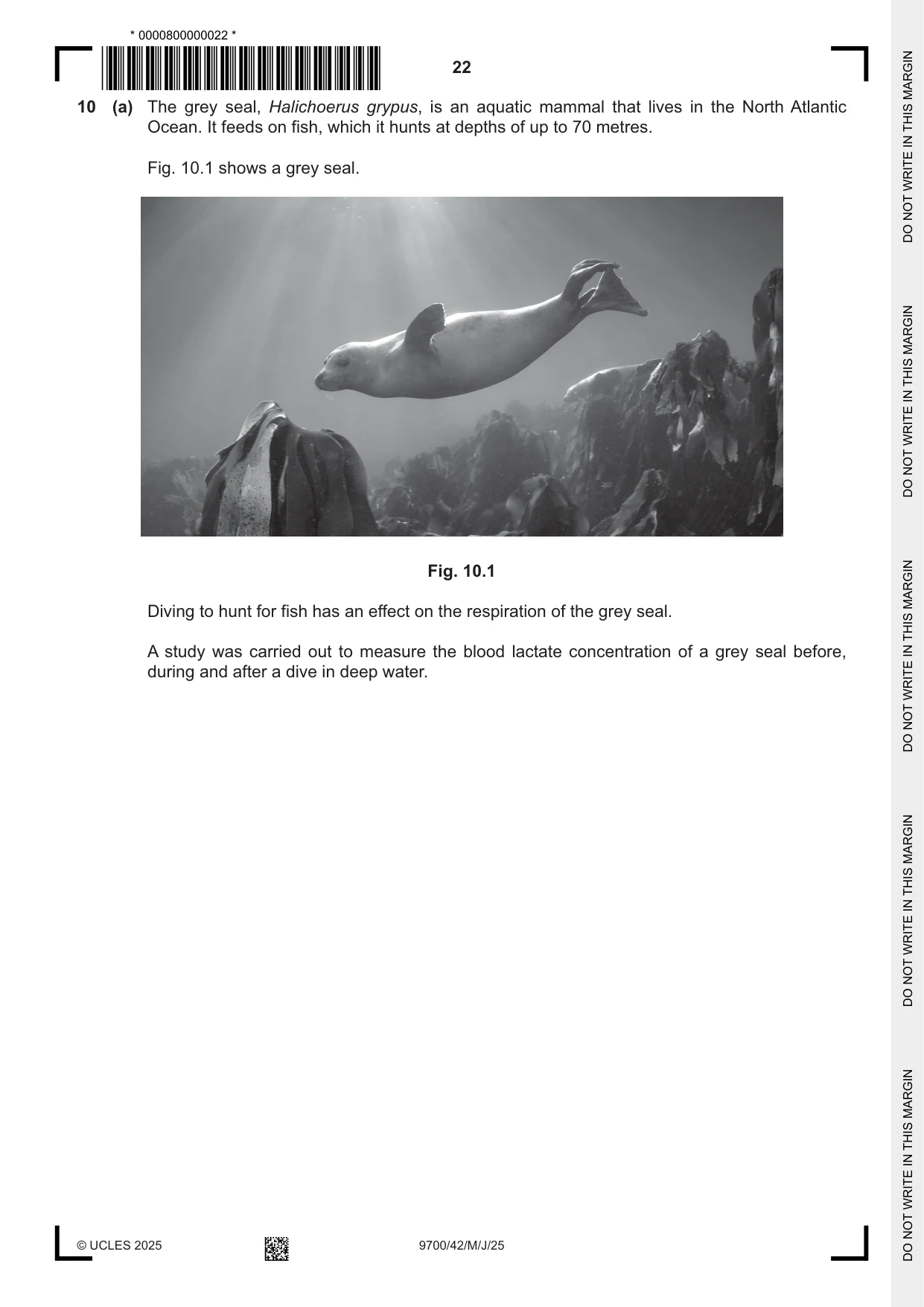 Cambridge A Level Biology 9700 2025 May/June Paper 4 · Variant 2 question paper, page 22 of 24