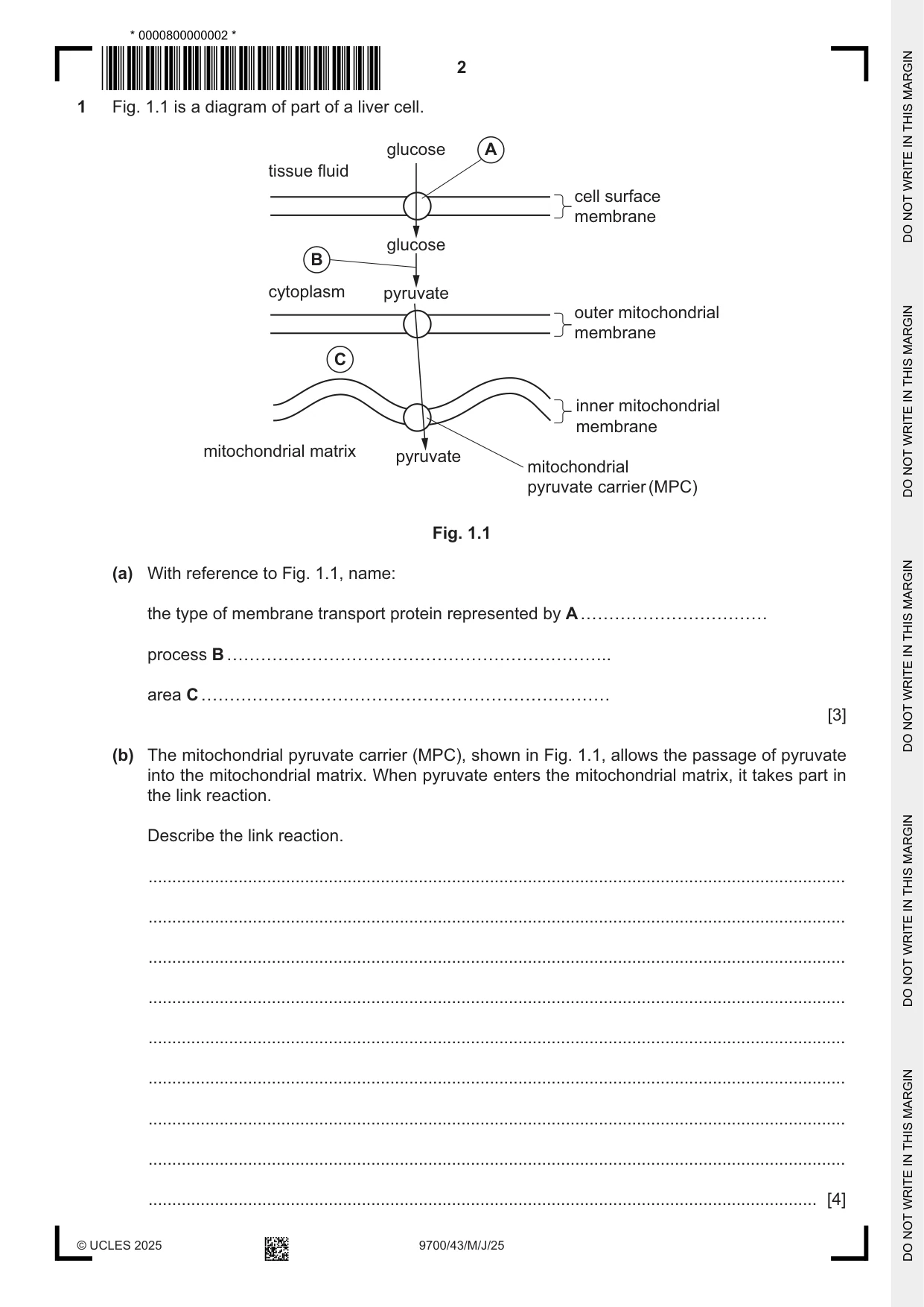 Cambridge A Level Biology 9700 2025 May/June Paper 4 · Variant 3 question paper, page 2 of 24