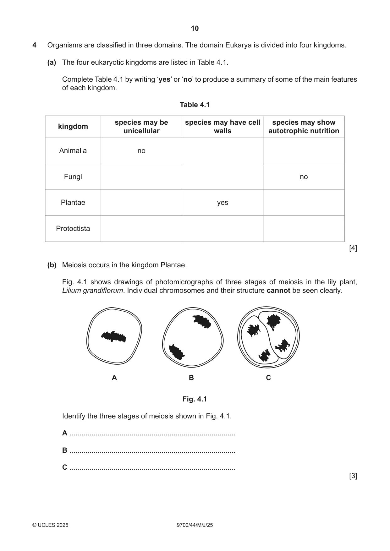 Cambridge A Level Biology 9700 2025 May/June Paper 4 · Variant 4 question paper, page 10 of 24