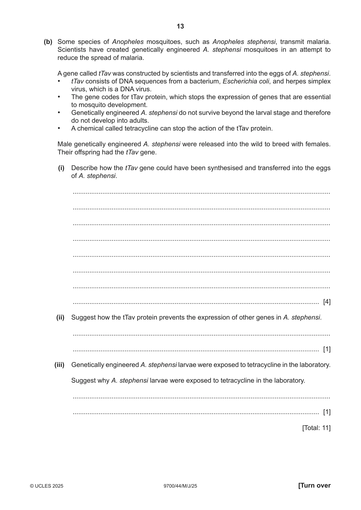 Cambridge A Level Biology 9700 2025 May/June Paper 4 · Variant 4 question paper, page 13 of 24