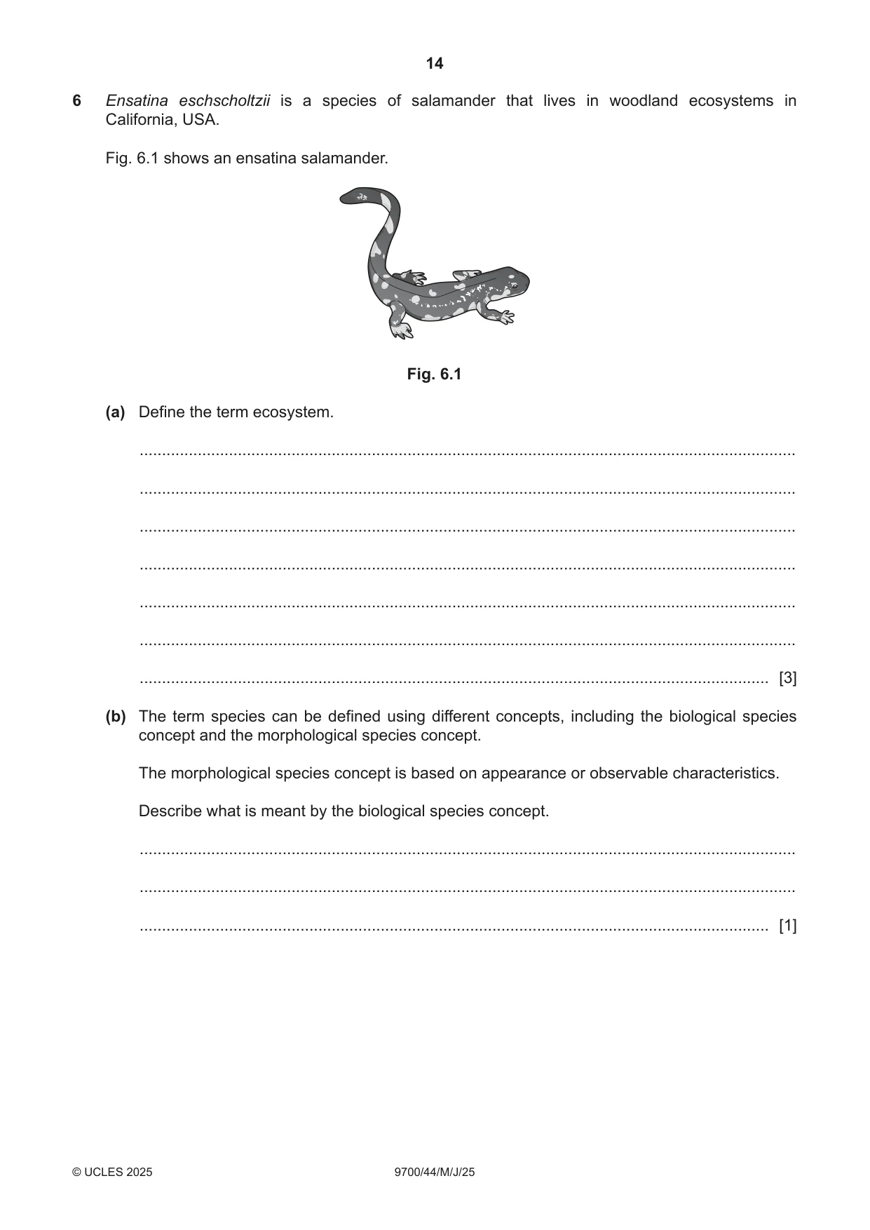 Cambridge A Level Biology 9700 2025 May/June Paper 4 · Variant 4 question paper, page 14 of 24