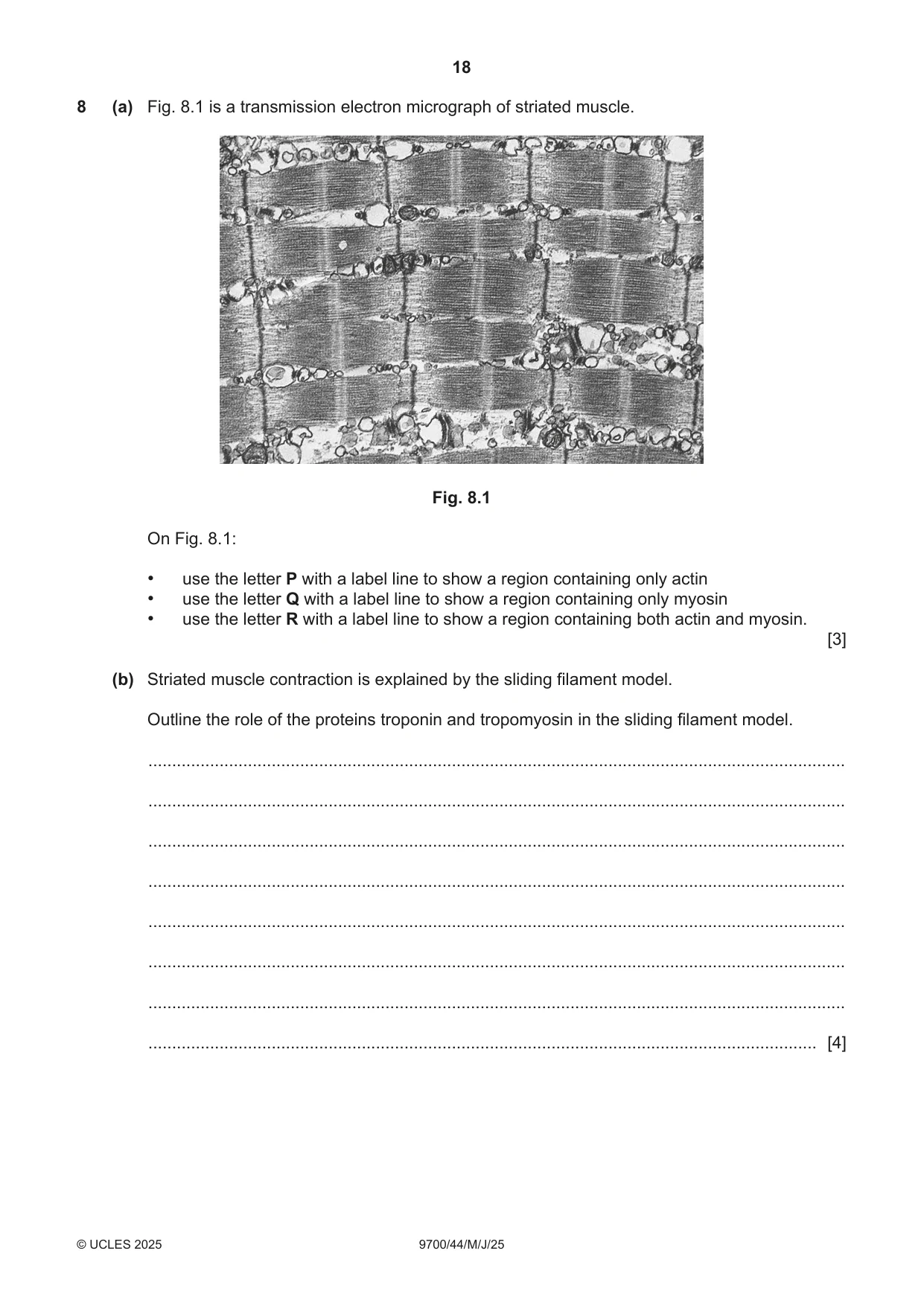 Cambridge A Level Biology 9700 2025 May/June Paper 4 · Variant 4 question paper, page 18 of 24