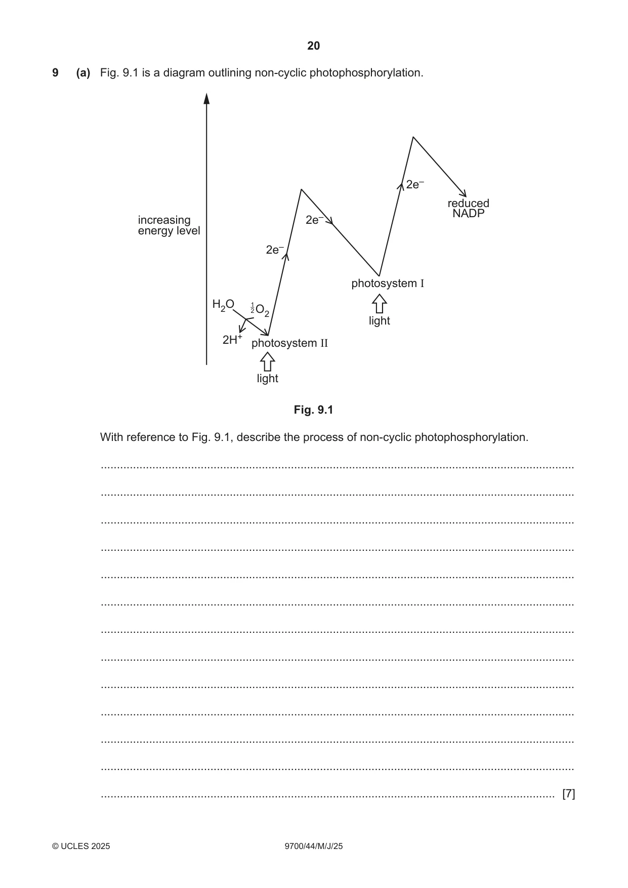 Cambridge A Level Biology 9700 2025 May/June Paper 4 · Variant 4 question paper, page 20 of 24