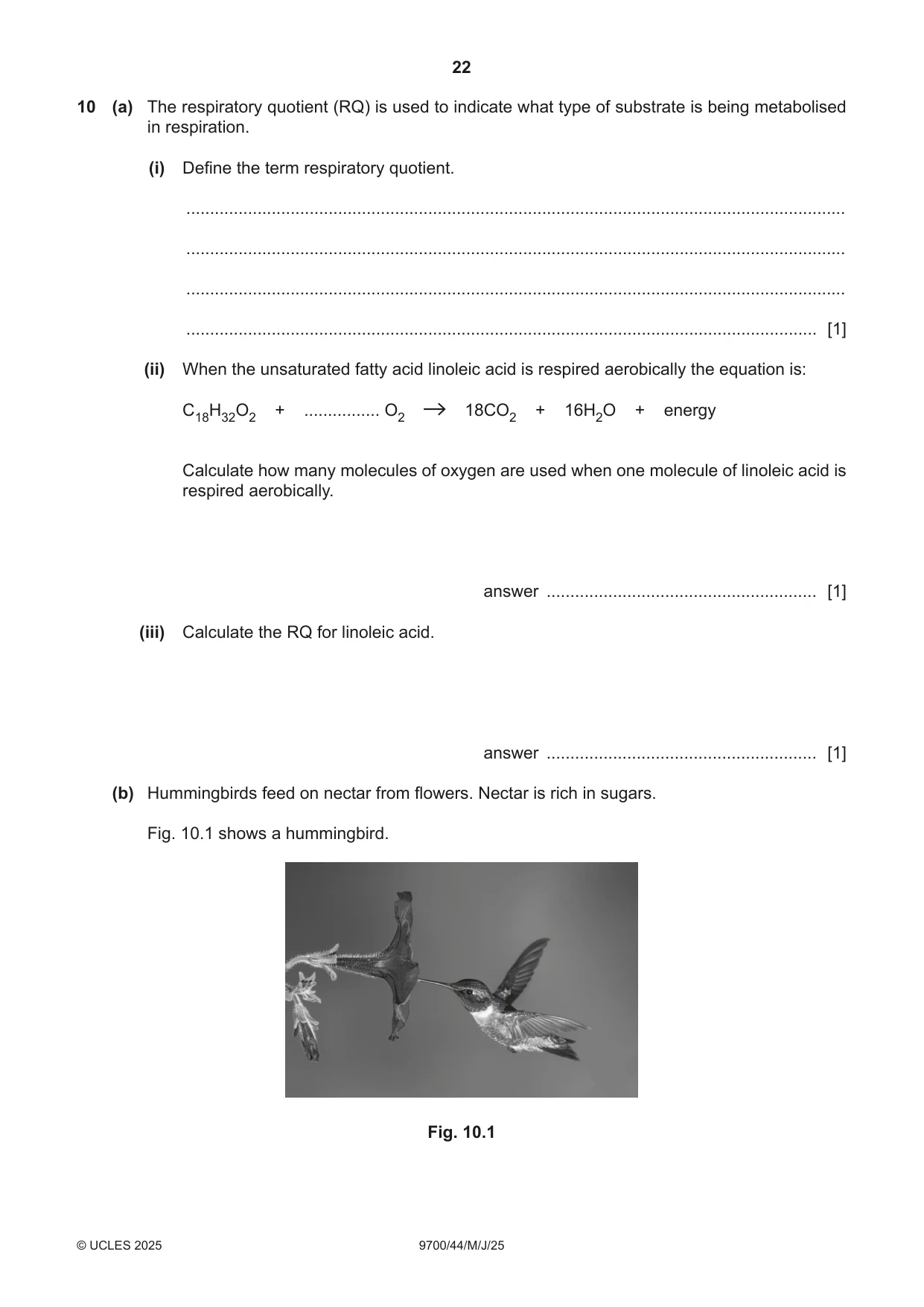 Cambridge A Level Biology 9700 2025 May/June Paper 4 · Variant 4 question paper, page 22 of 24