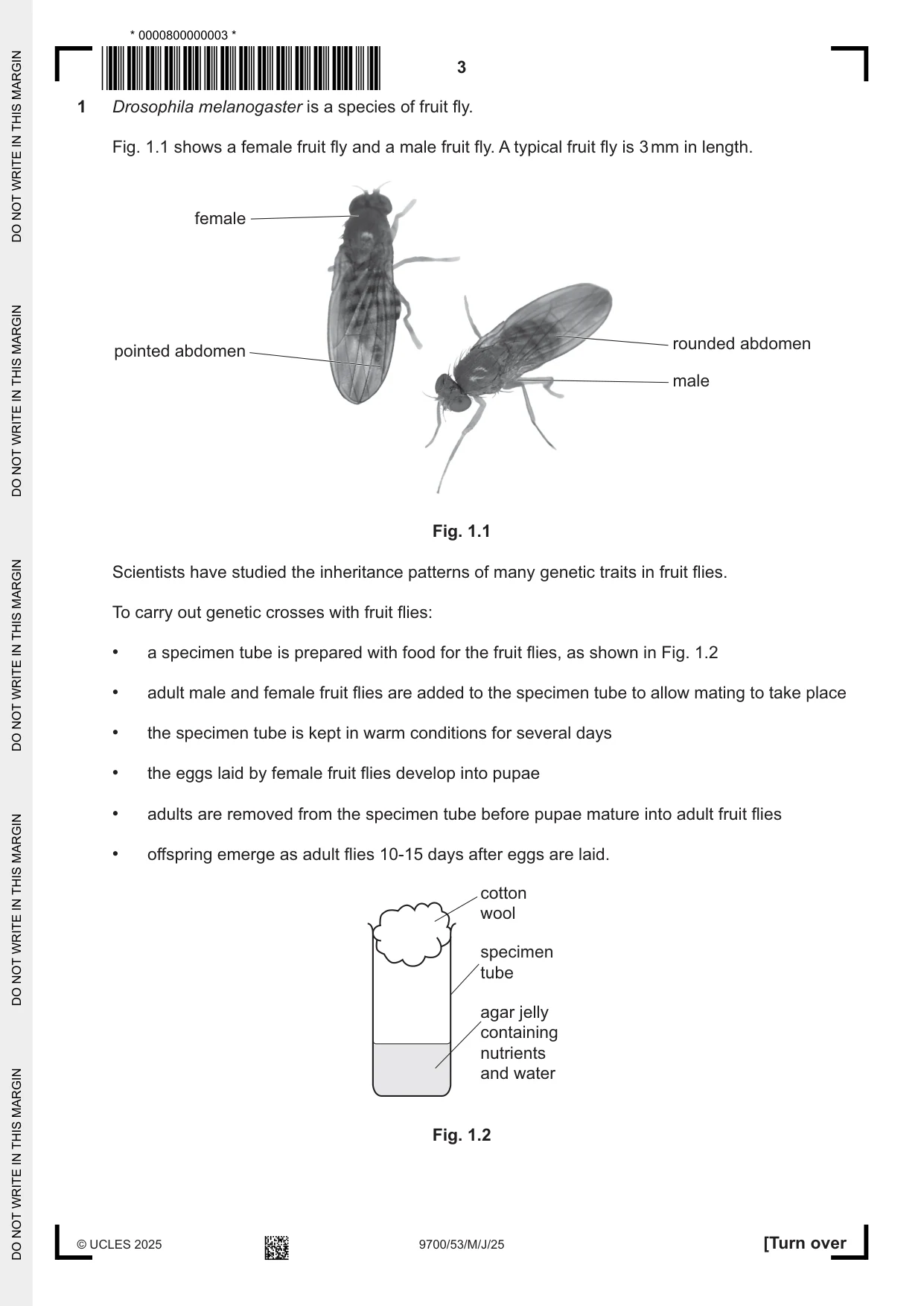 Cambridge A Level Biology 9700 2025 May/June Paper 5 · Variant 3 question paper, page 3 of 16