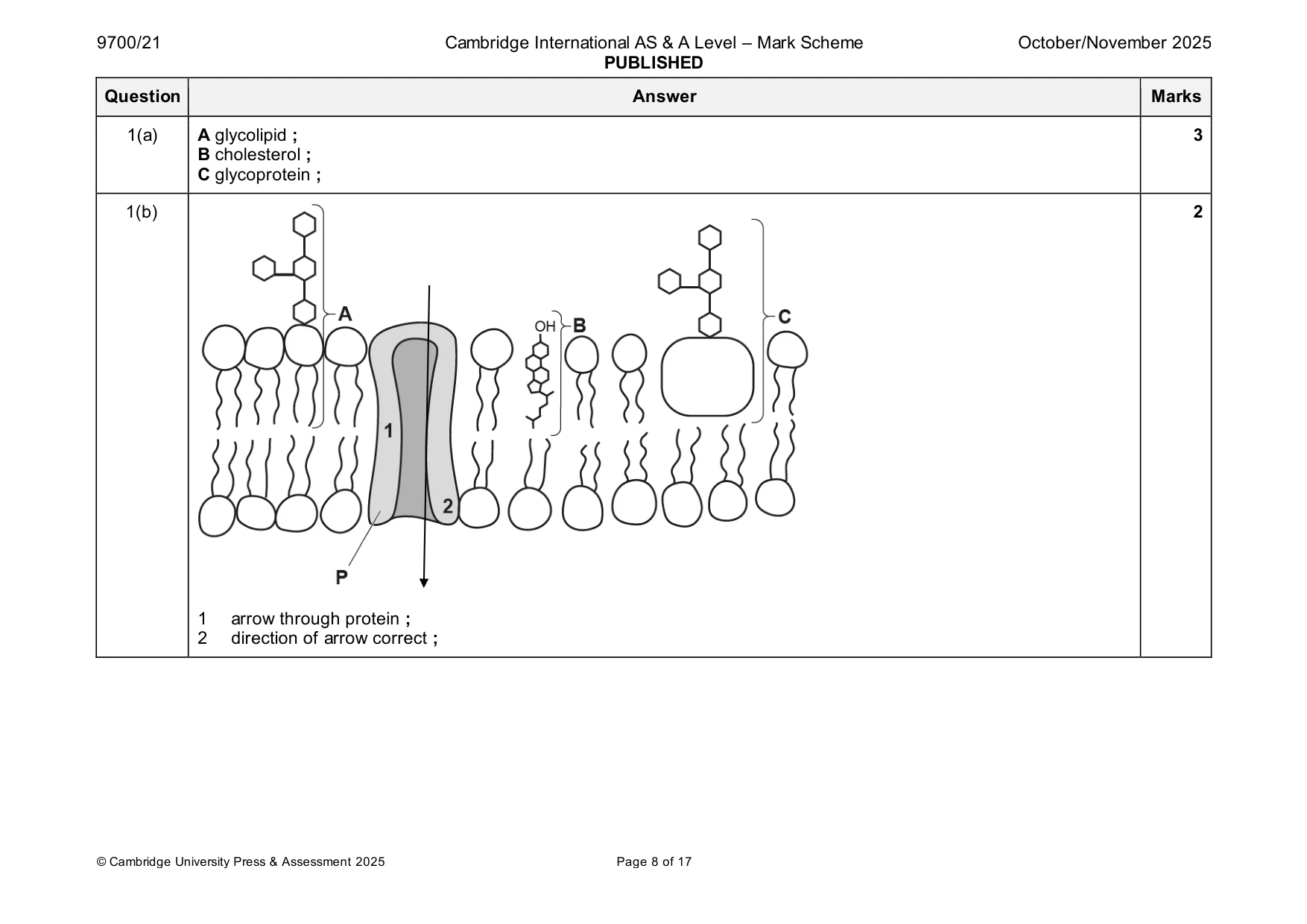 Mark scheme, page 8 of 17