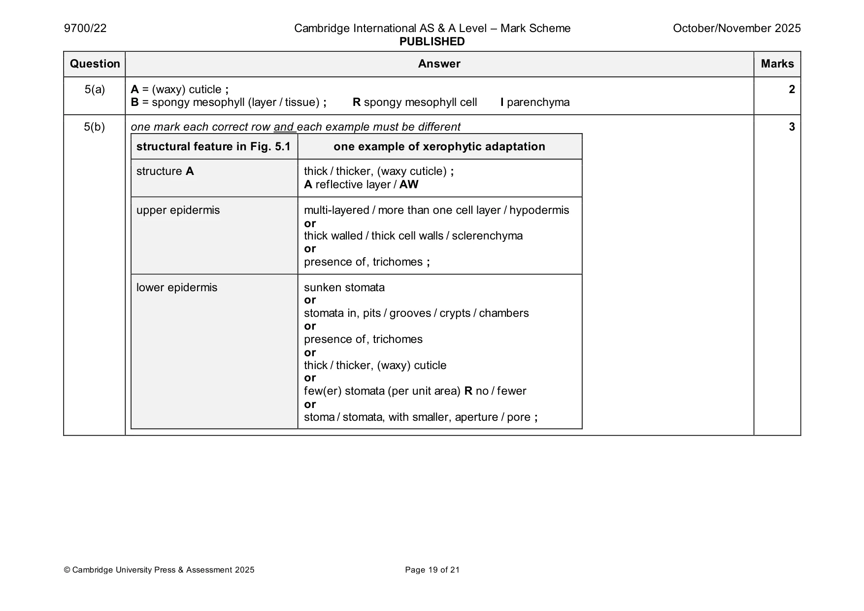 Mark scheme, page 19 of 21
