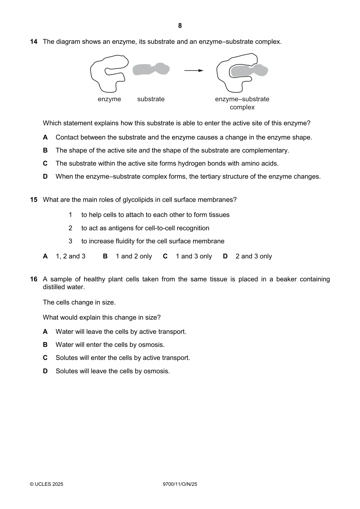 Cambridge A Level Biology 9700 2025 Oct/Nov Paper 1 · Variant 1 question paper, page 8 of 20