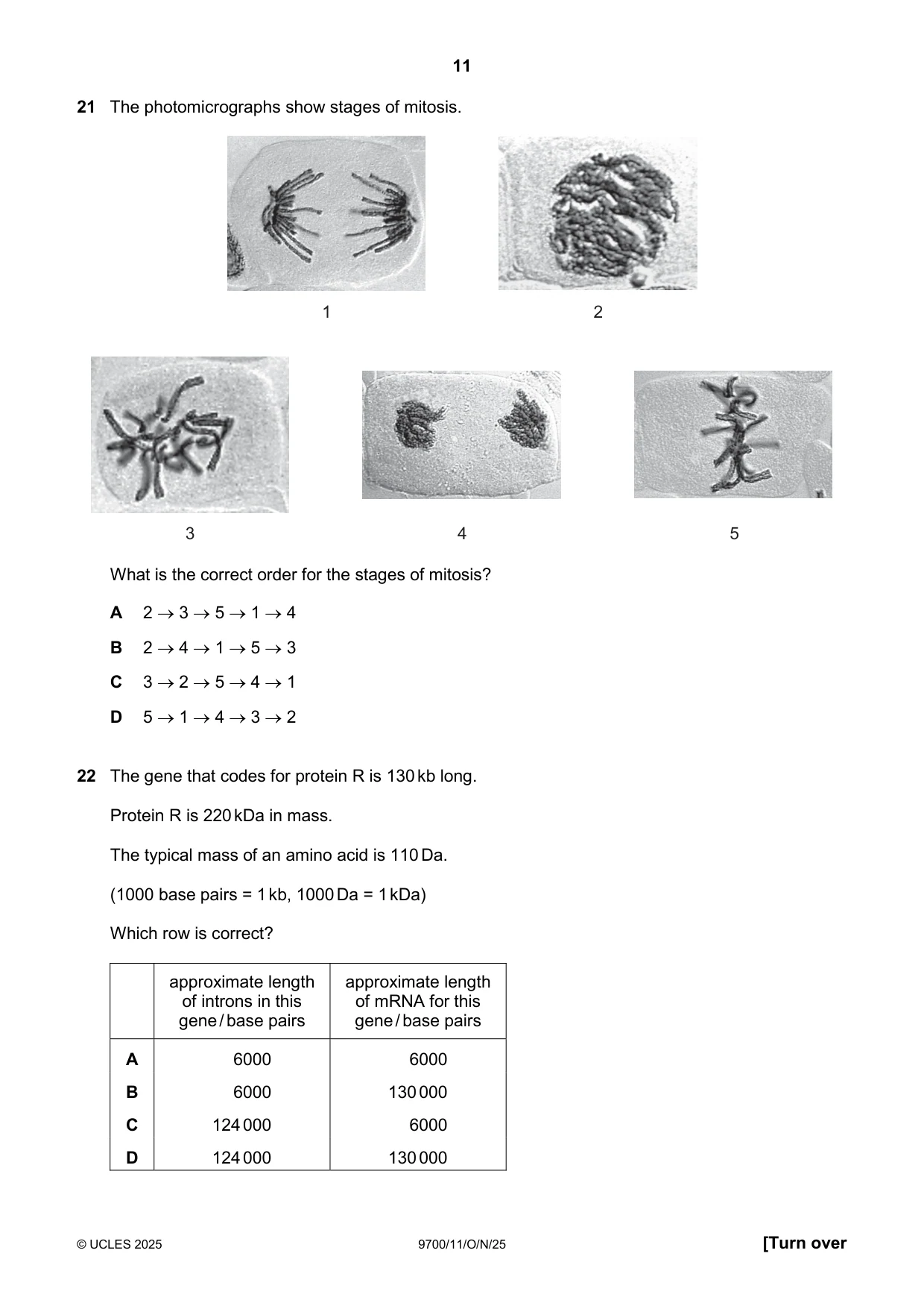 Cambridge A Level Biology 9700 2025 Oct/Nov Paper 1 · Variant 1 question paper, page 11 of 20