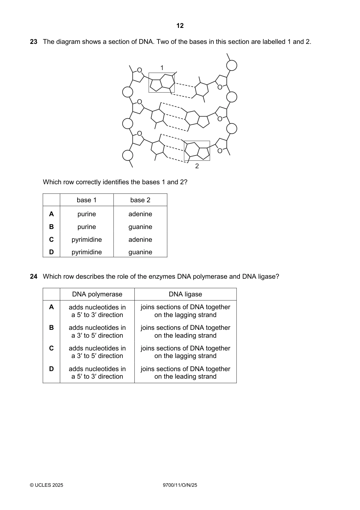 Cambridge A Level Biology 9700 2025 Oct/Nov Paper 1 · Variant 1 question paper, page 12 of 20
