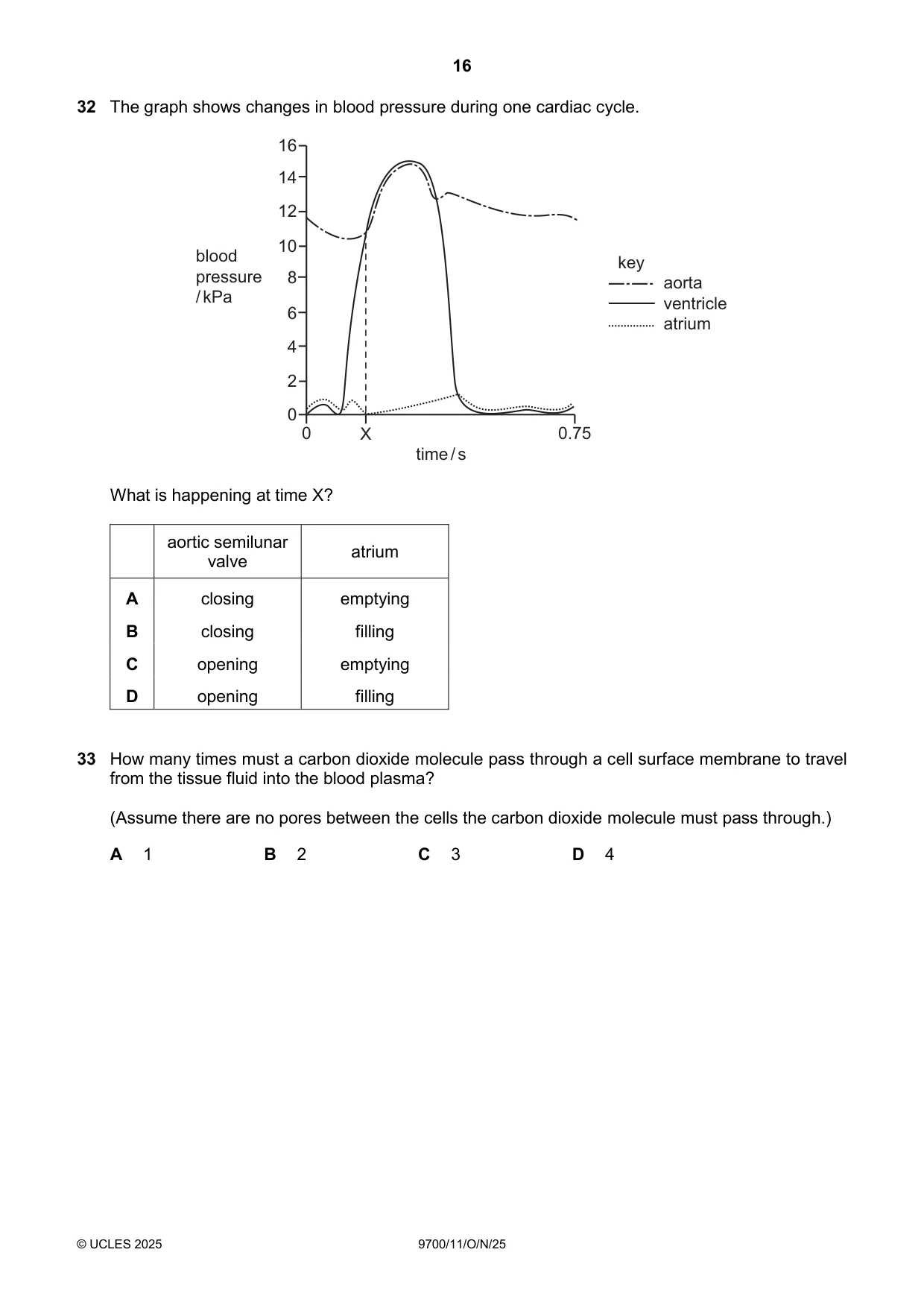 Cambridge A Level Biology 9700 2025 Oct/Nov Paper 1 · Variant 1 question paper, page 16 of 20