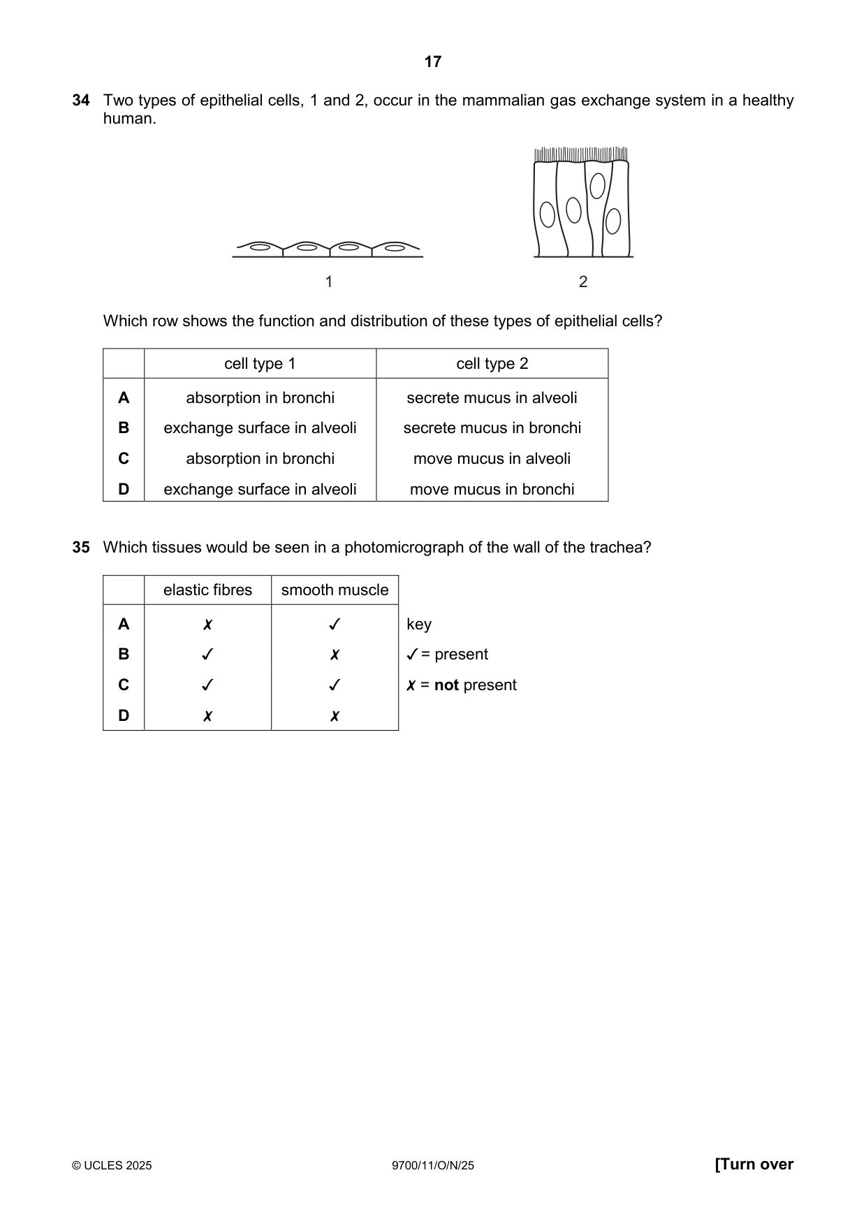 Cambridge A Level Biology 9700 2025 Oct/Nov Paper 1 · Variant 1 question paper, page 17 of 20