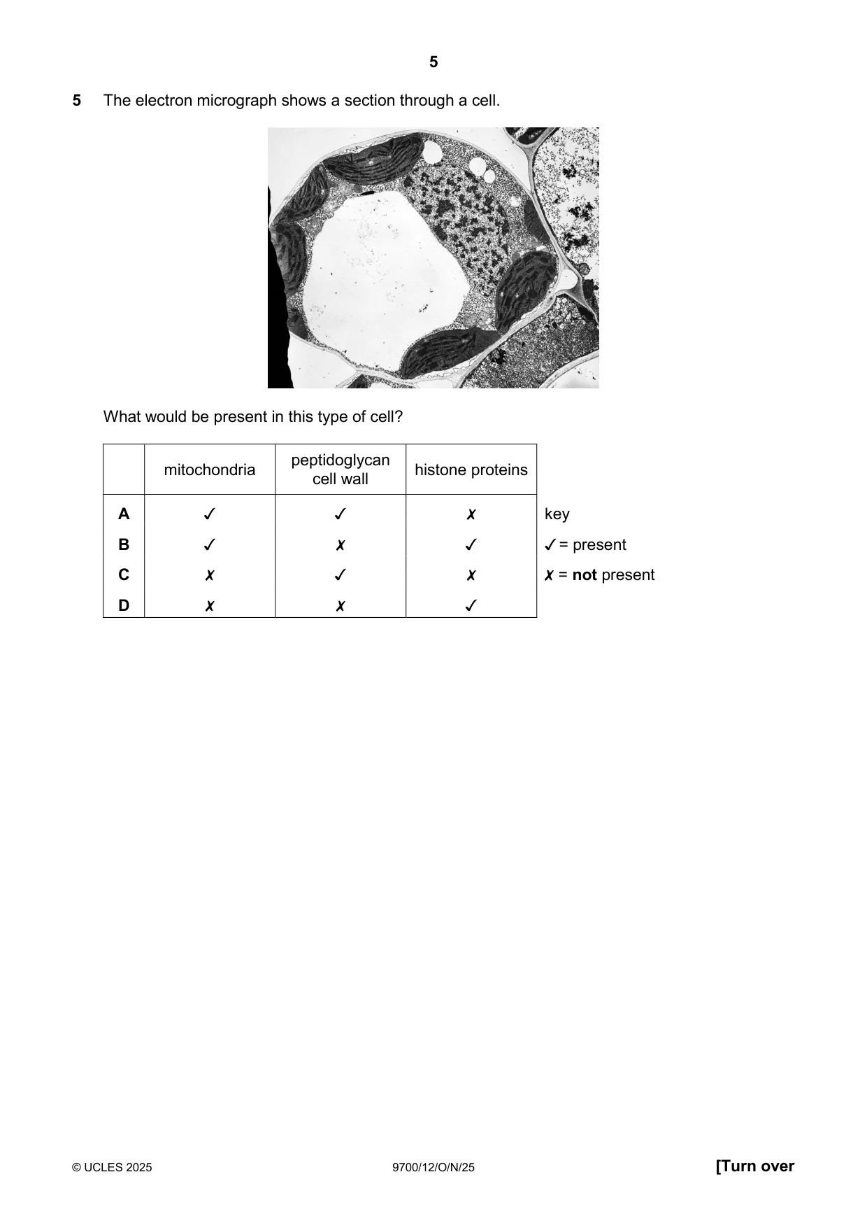Cambridge A Level Biology 9700 2025 Oct/Nov Paper 1 · Variant 2 question paper, page 5 of 24
