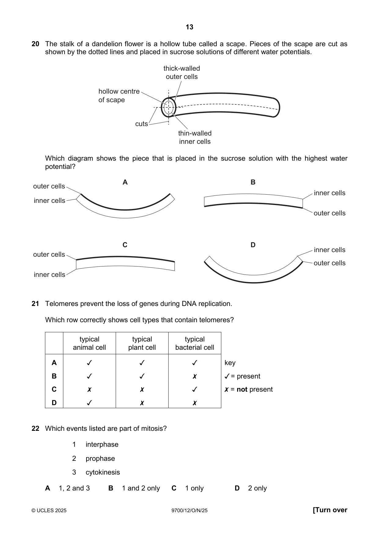 Cambridge A Level Biology 9700 2025 Oct/Nov Paper 1 · Variant 2 question paper, page 13 of 24