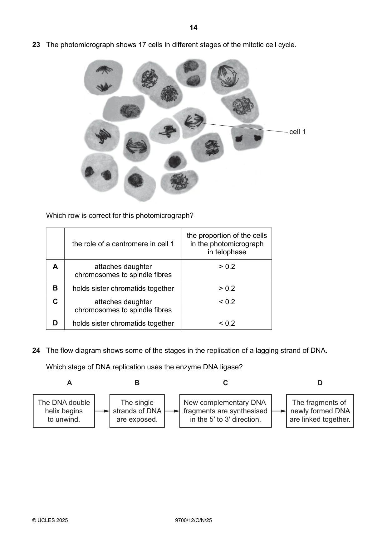 Cambridge A Level Biology 9700 2025 Oct/Nov Paper 1 · Variant 2 question paper, page 14 of 24