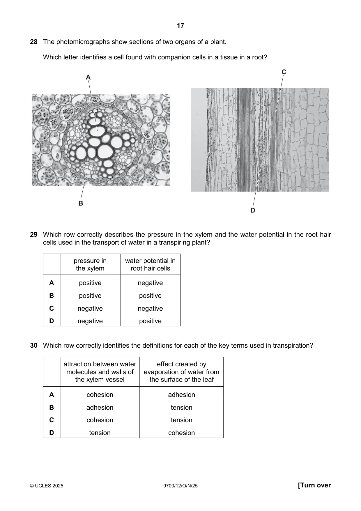 Cambridge A Level Biology 9700 2025 Oct/Nov Paper 1 · Variant 2 question paper, page 17 of 24