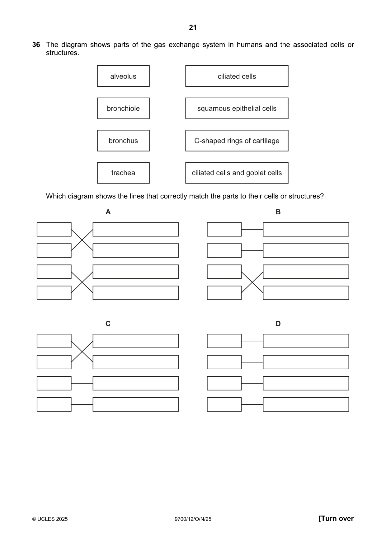 Cambridge A Level Biology 9700 2025 Oct/Nov Paper 1 · Variant 2 question paper, page 21 of 24