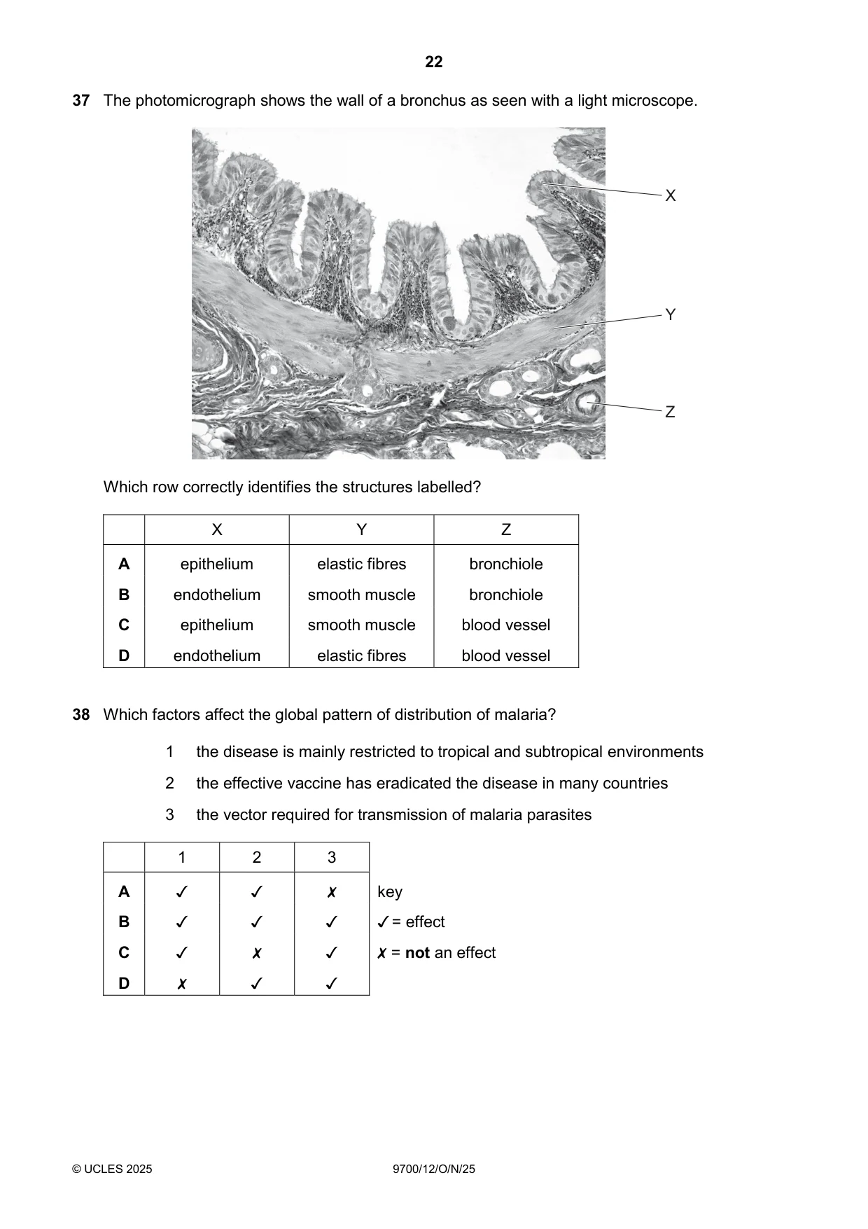 Cambridge A Level Biology 9700 2025 Oct/Nov Paper 1 · Variant 2 question paper, page 22 of 24