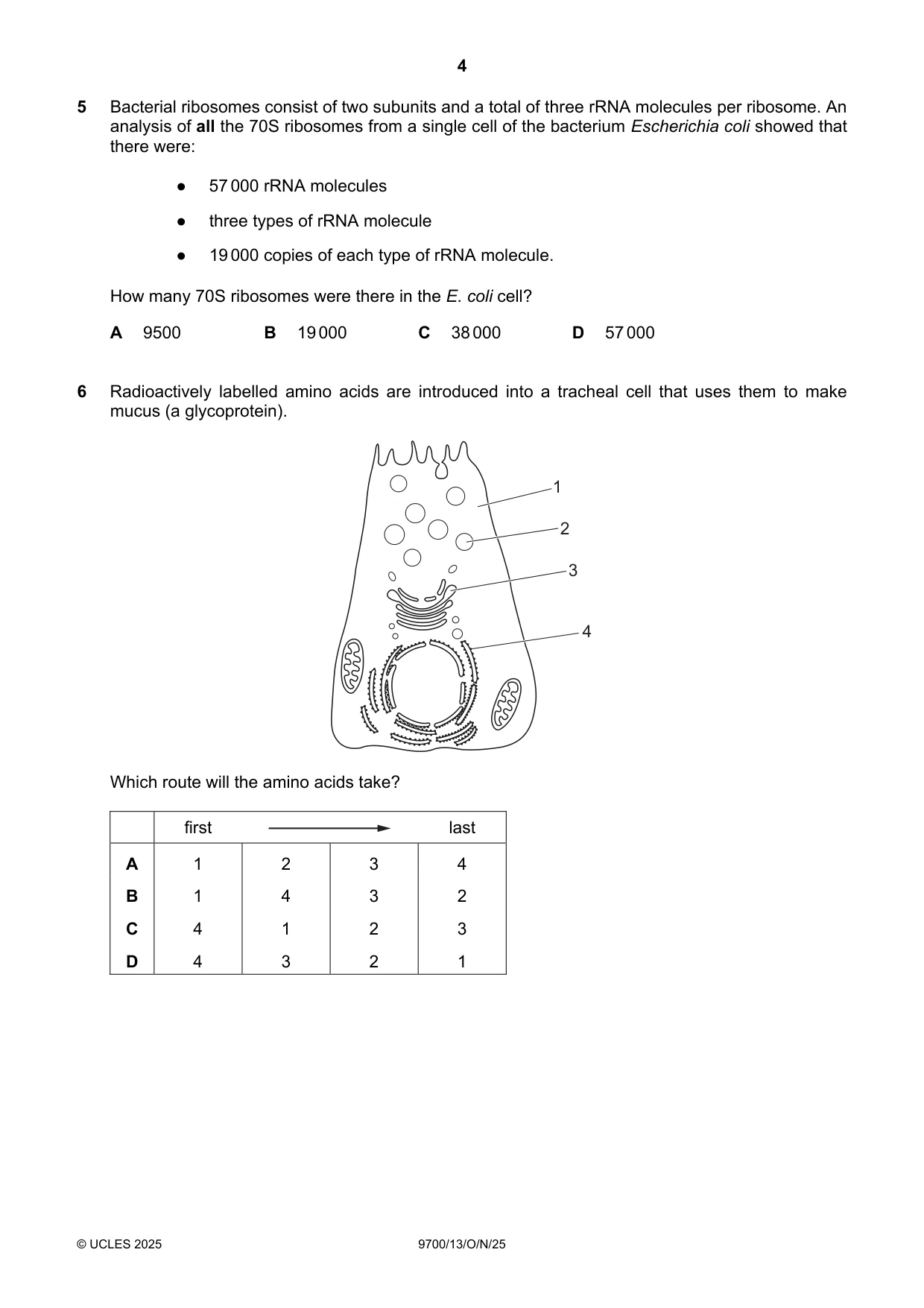 Cambridge A Level Biology 9700 2025 Oct/Nov Paper 1 · Variant 3 question paper, page 4 of 20