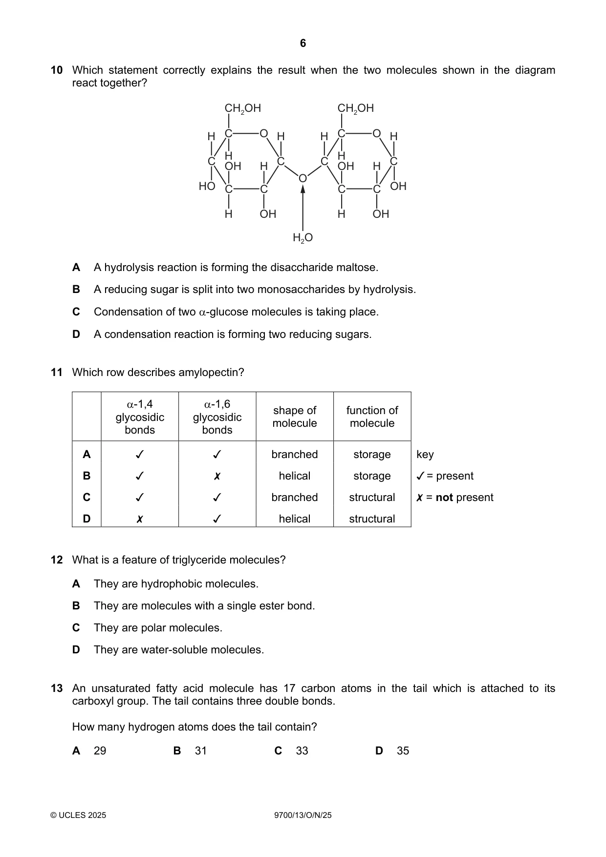 Cambridge A Level Biology 9700 2025 Oct/Nov Paper 1 · Variant 3 question paper, page 6 of 20