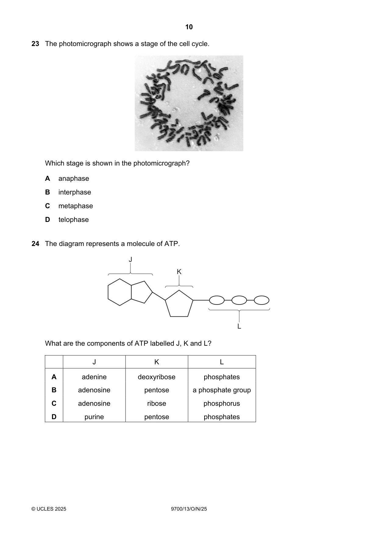 Cambridge A Level Biology 9700 2025 Oct/Nov Paper 1 · Variant 3 question paper, page 10 of 20