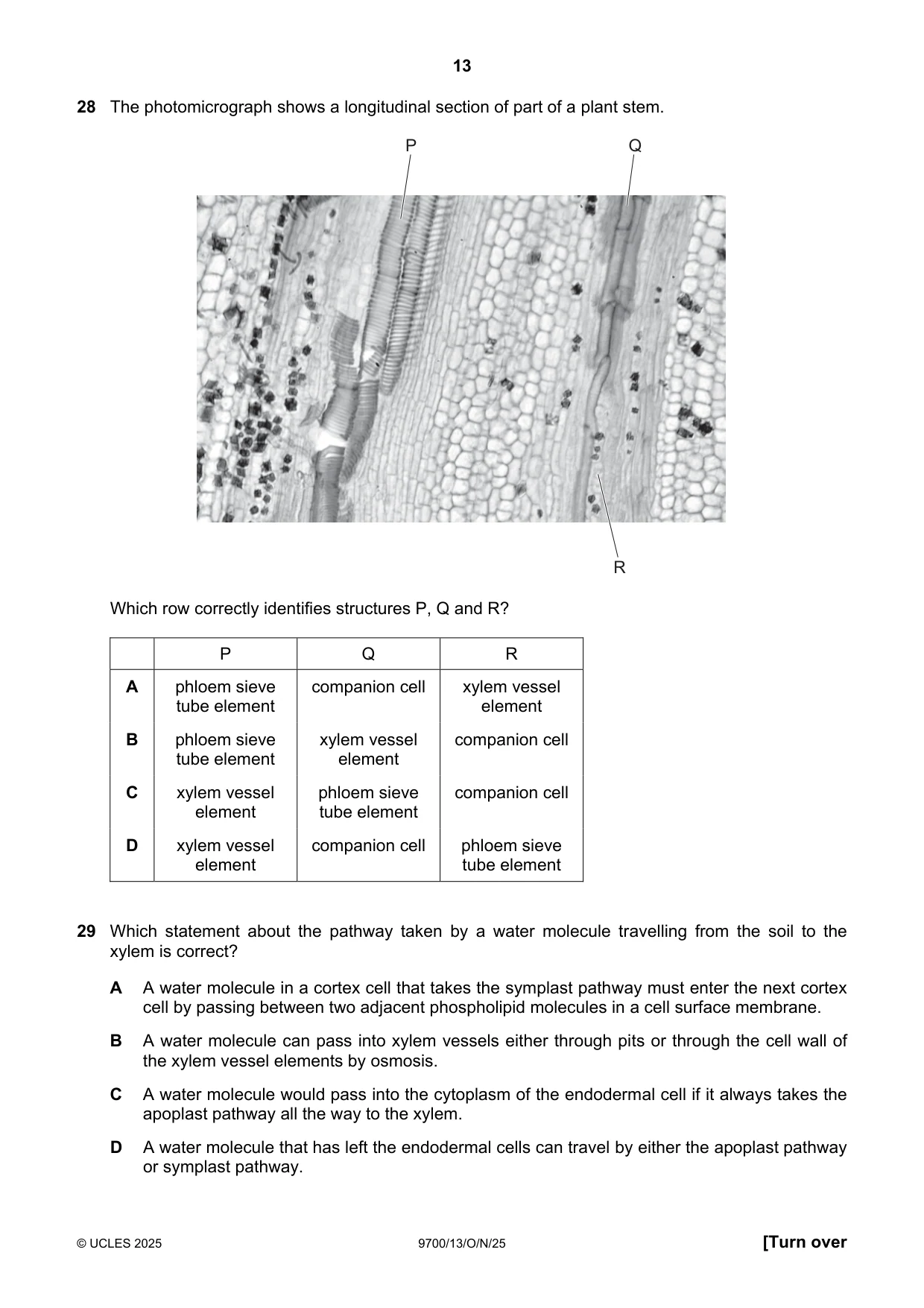 Cambridge A Level Biology 9700 2025 Oct/Nov Paper 1 · Variant 3 question paper, page 13 of 20