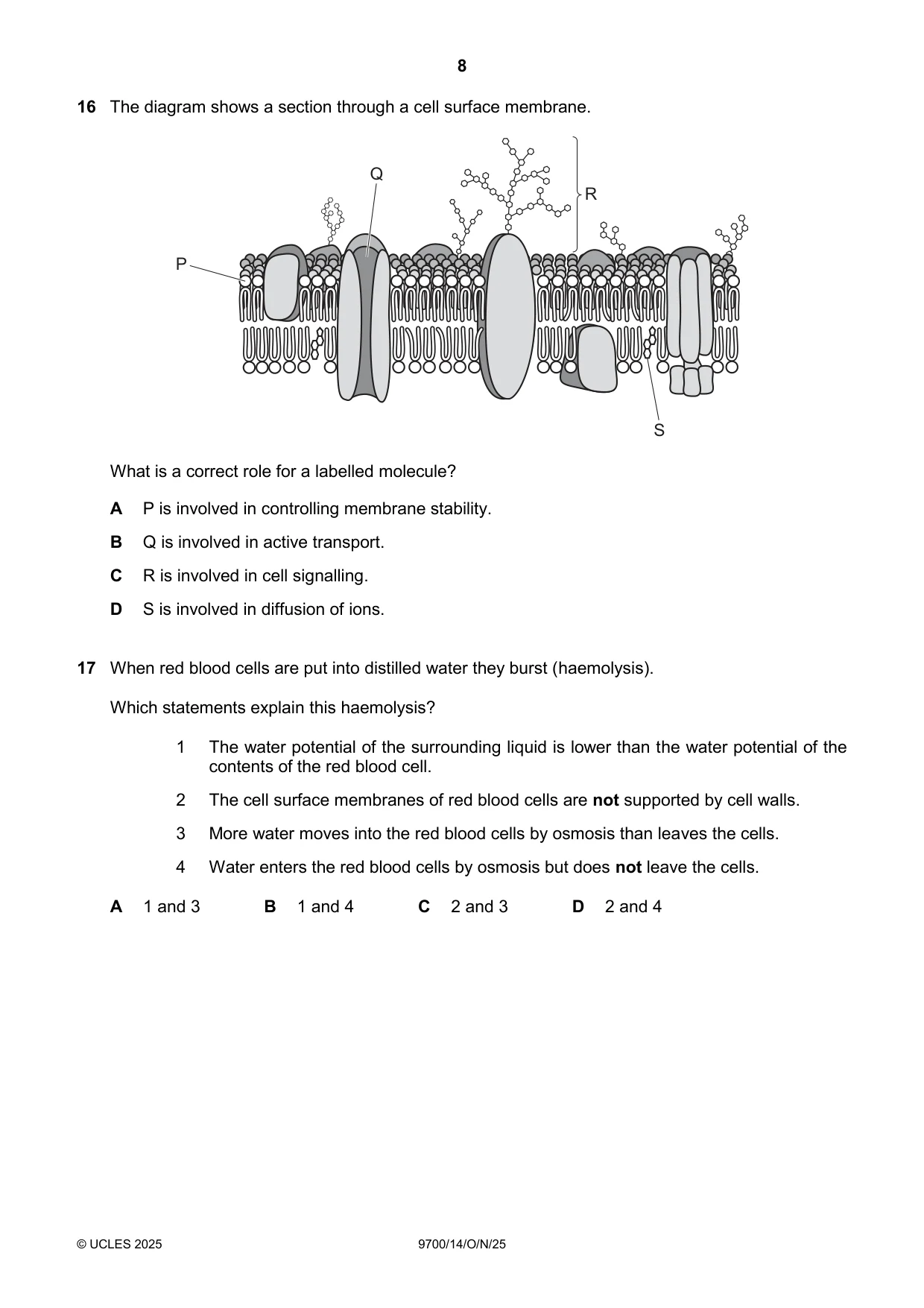 Cambridge A Level Biology 9700 2025 Oct/Nov Paper 1 · Variant 4 question paper, page 8 of 20