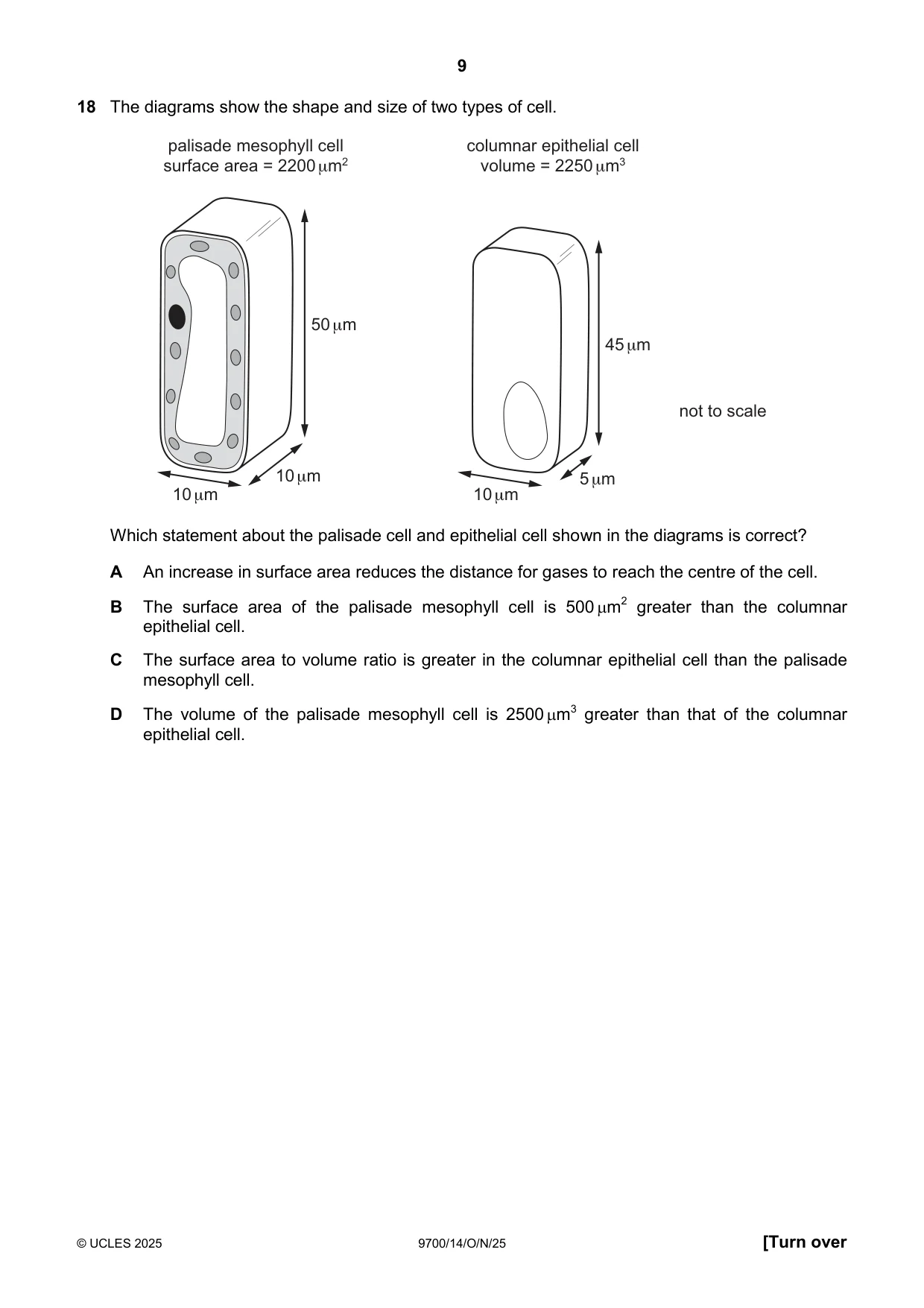 Cambridge A Level Biology 9700 2025 Oct/Nov Paper 1 · Variant 4 question paper, page 9 of 20