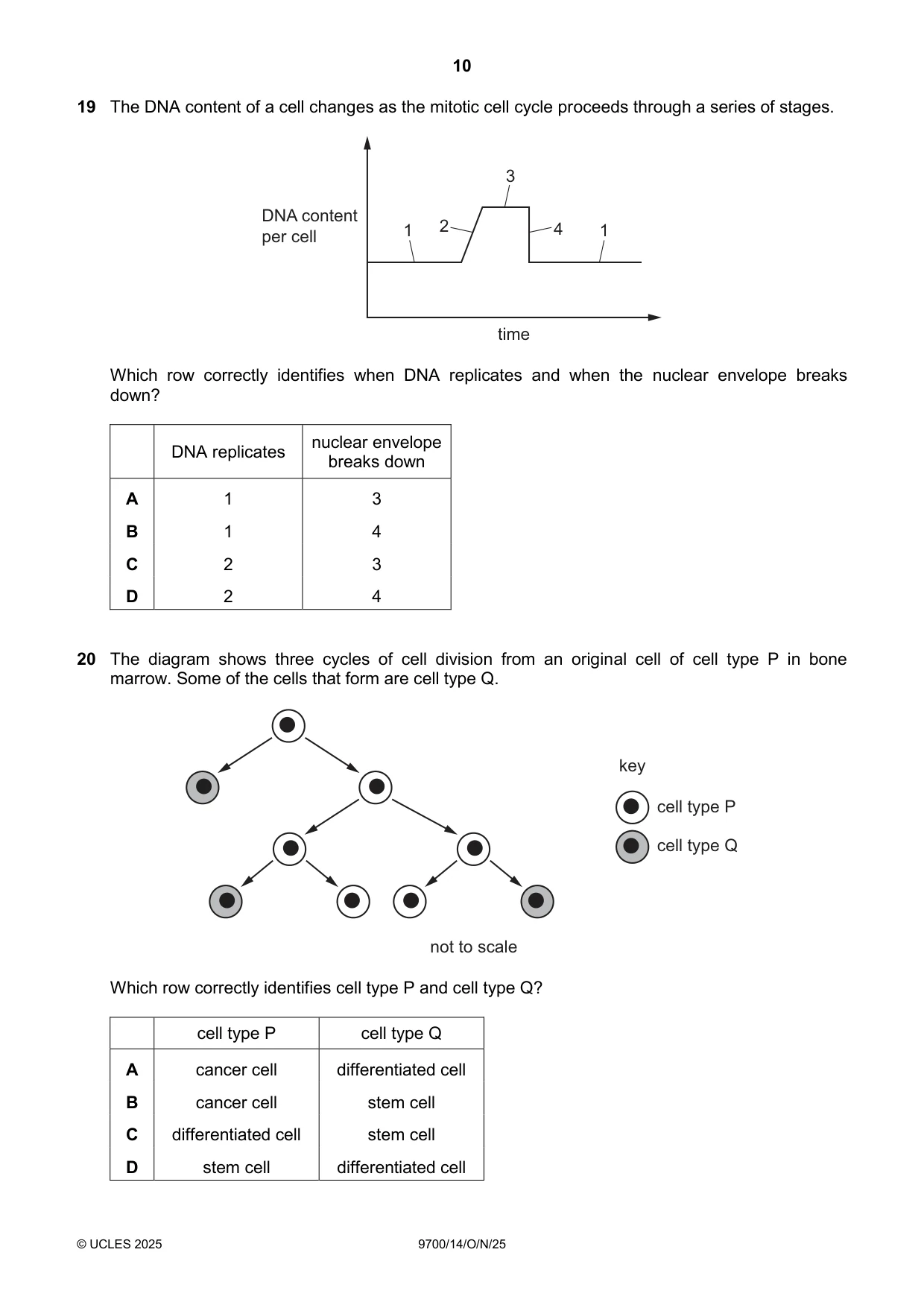 Cambridge A Level Biology 9700 2025 Oct/Nov Paper 1 · Variant 4 question paper, page 10 of 20