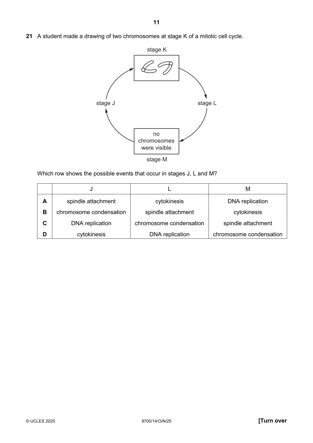 Cambridge A Level Biology 9700 2025 Oct/Nov Paper 1 · Variant 4 question paper, page 11 of 20
