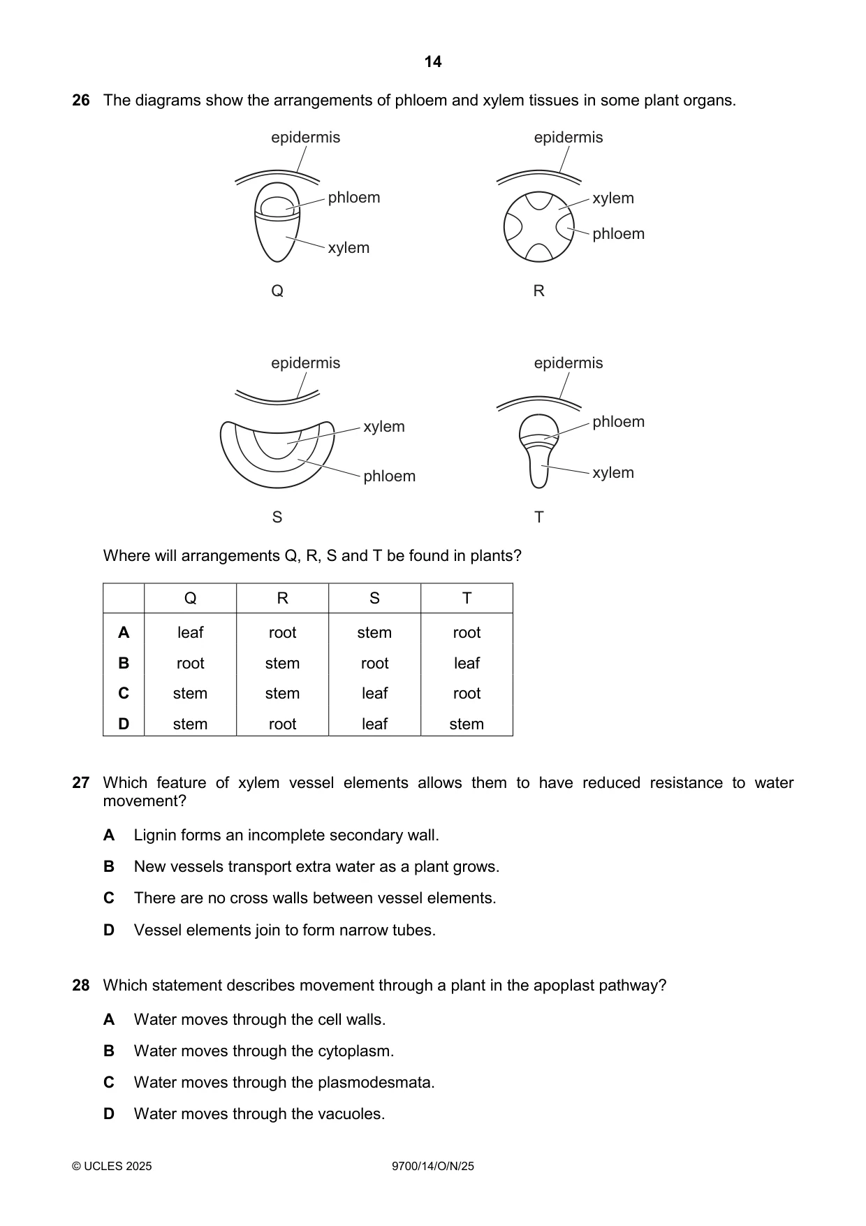 Cambridge A Level Biology 9700 2025 Oct/Nov Paper 1 · Variant 4 question paper, page 14 of 20