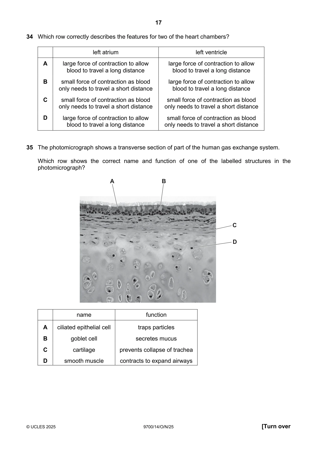 Cambridge A Level Biology 9700 2025 Oct/Nov Paper 1 · Variant 4 question paper, page 17 of 20