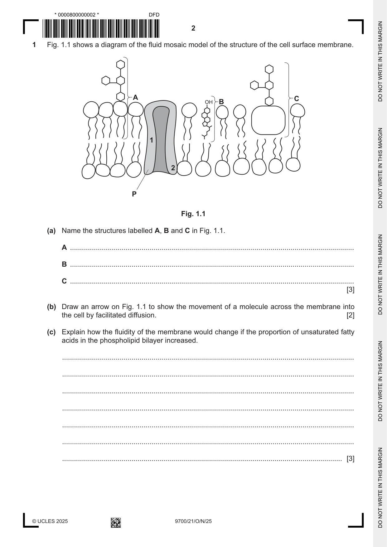 Cambridge A Level Biology 9700 2025 Oct/Nov Paper 2 · Variant 1 question paper, page 2 of 20