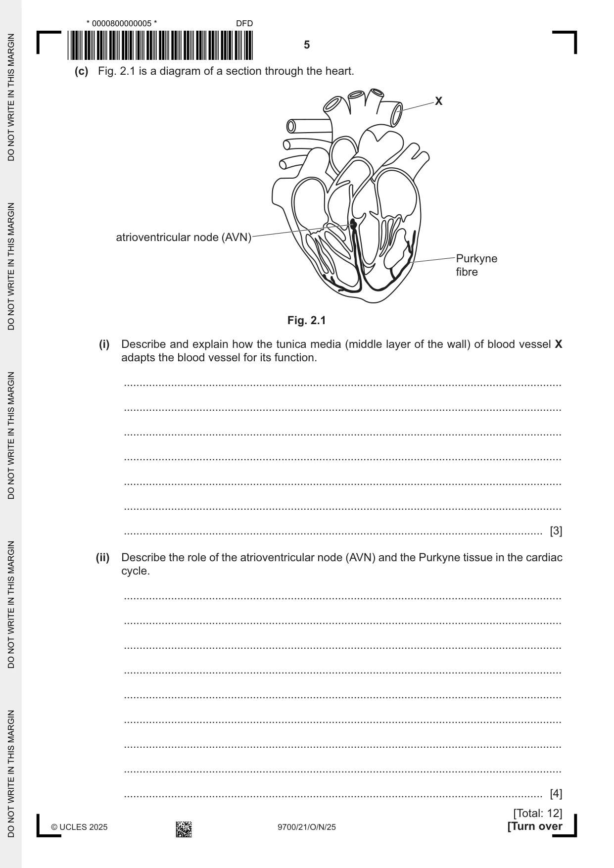 Cambridge A Level Biology 9700 2025 Oct/Nov Paper 2 · Variant 1 question paper, page 5 of 20