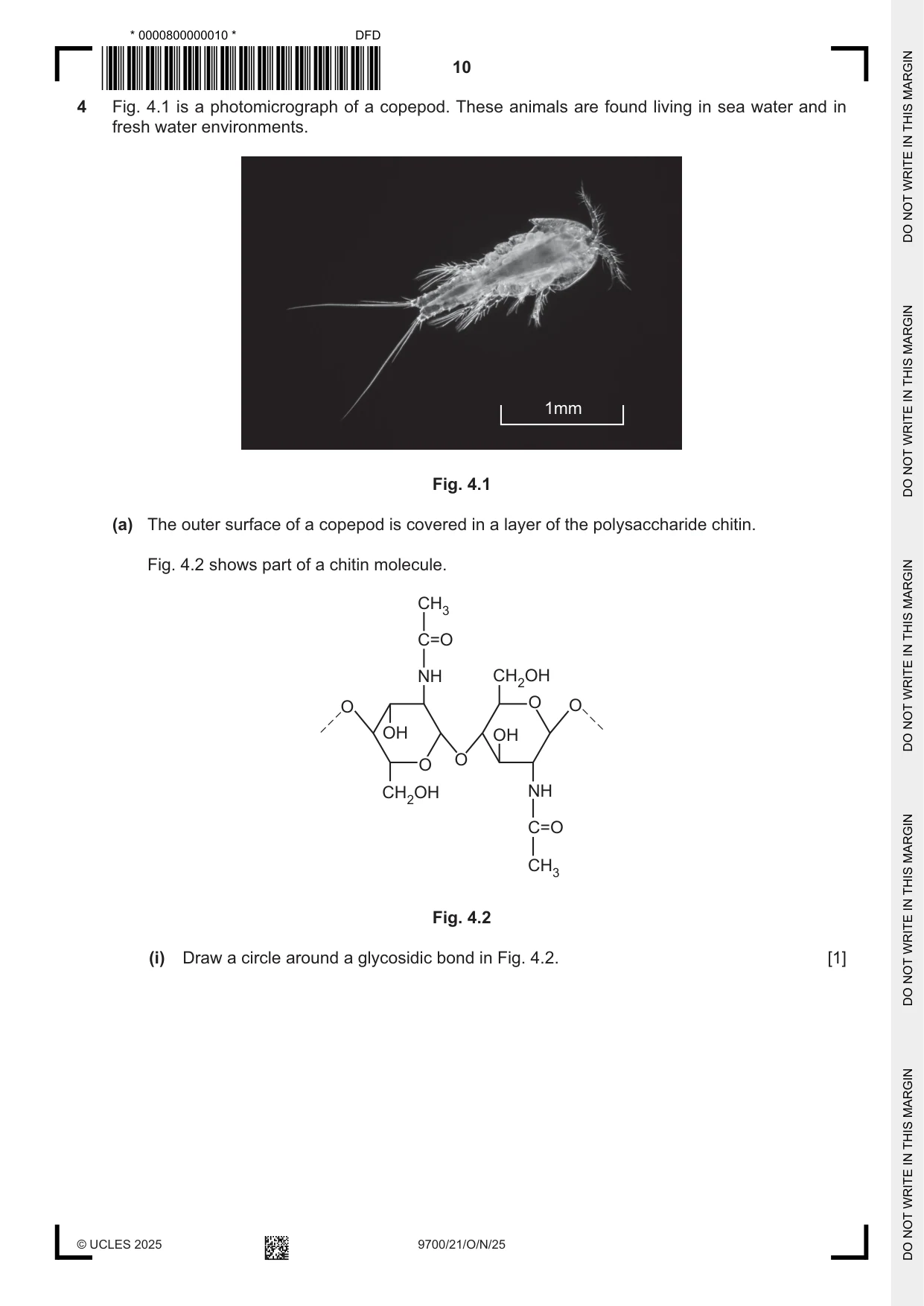 Cambridge A Level Biology 9700 2025 Oct/Nov Paper 2 · Variant 1 question paper, page 10 of 20