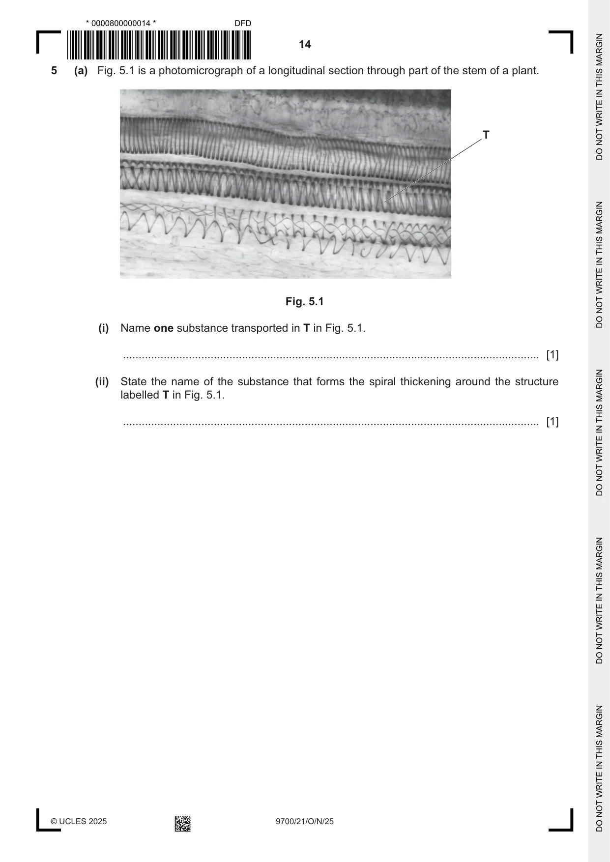 Cambridge A Level Biology 9700 2025 Oct/Nov Paper 2 · Variant 1 question paper, page 14 of 20