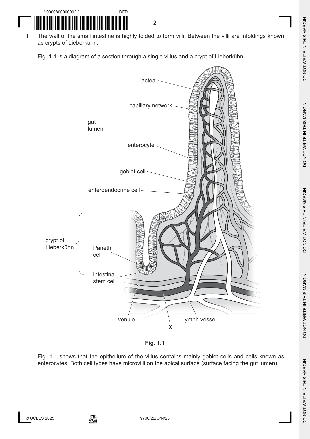 Cambridge A Level Biology 9700 2025 Oct/Nov Paper 2 · Variant 2 question paper, page 2 of 16