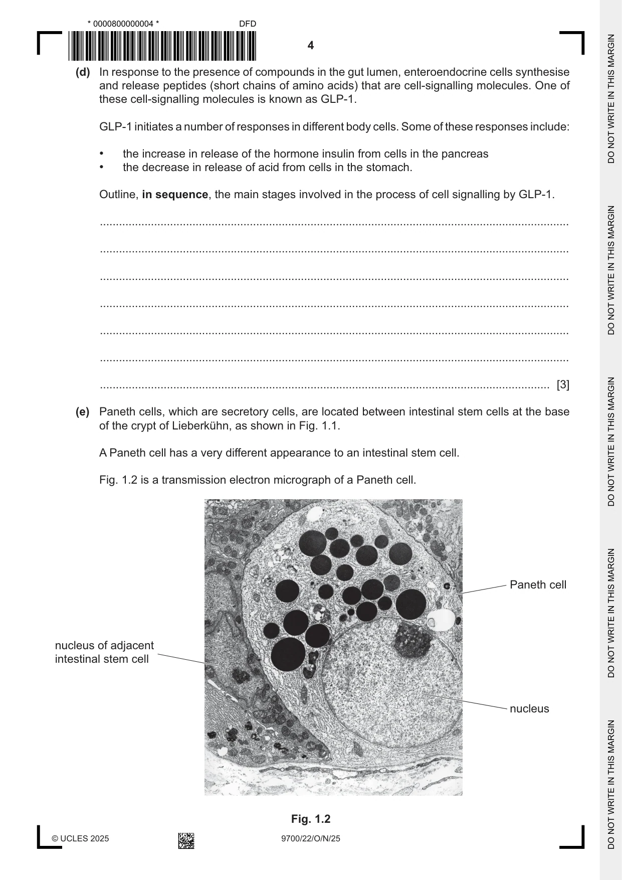 Cambridge A Level Biology 9700 2025 Oct/Nov Paper 2 · Variant 2 question paper, page 4 of 16