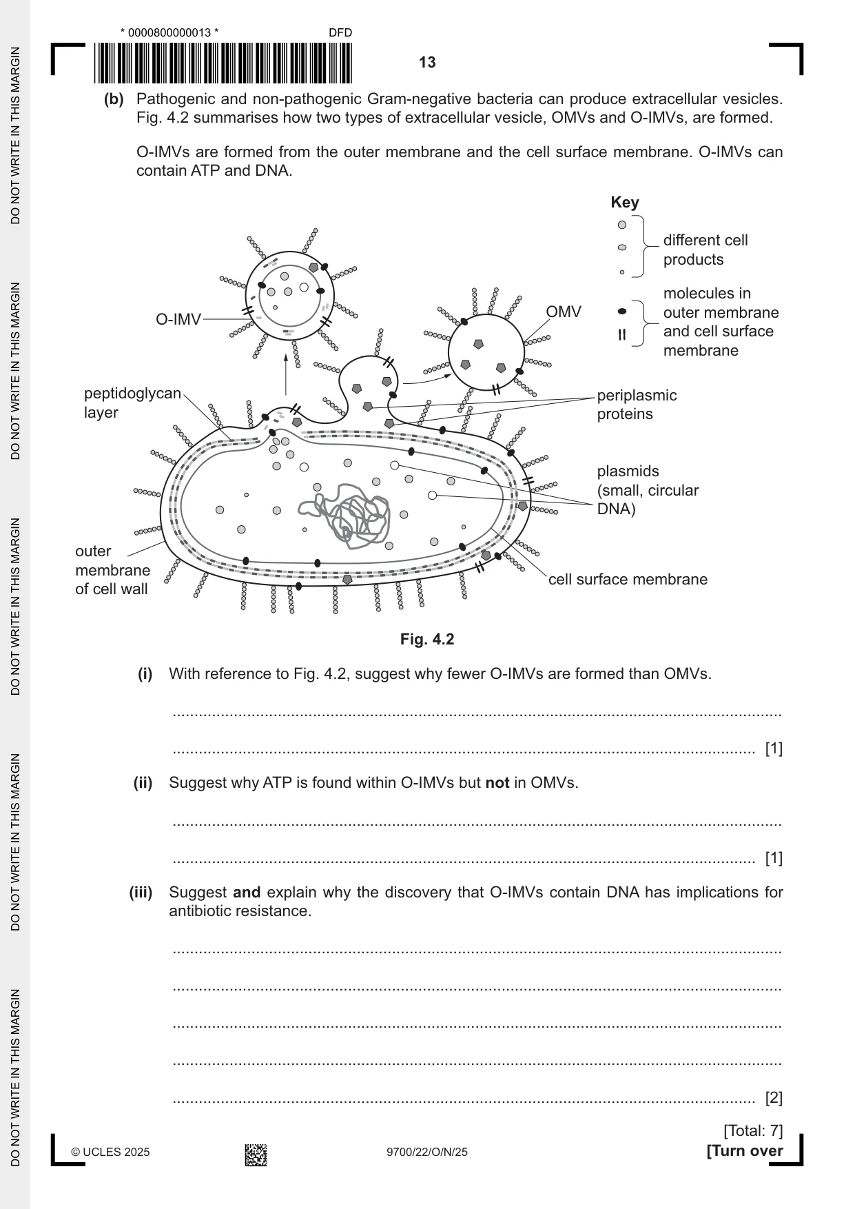 Cambridge A Level Biology 9700 2025 Oct/Nov Paper 2 · Variant 2 question paper, page 13 of 16