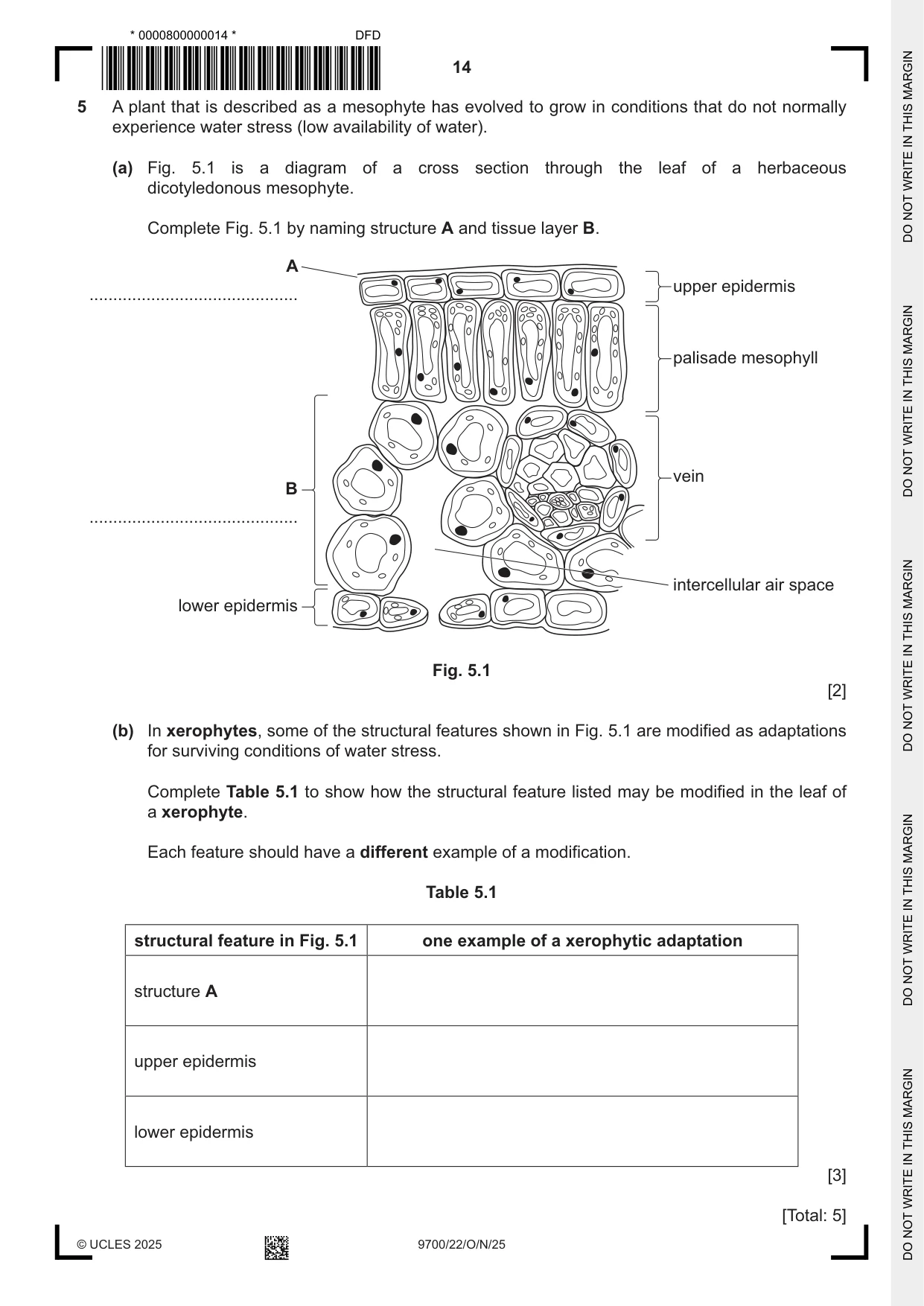 Cambridge A Level Biology 9700 2025 Oct/Nov Paper 2 · Variant 2 question paper, page 14 of 16
