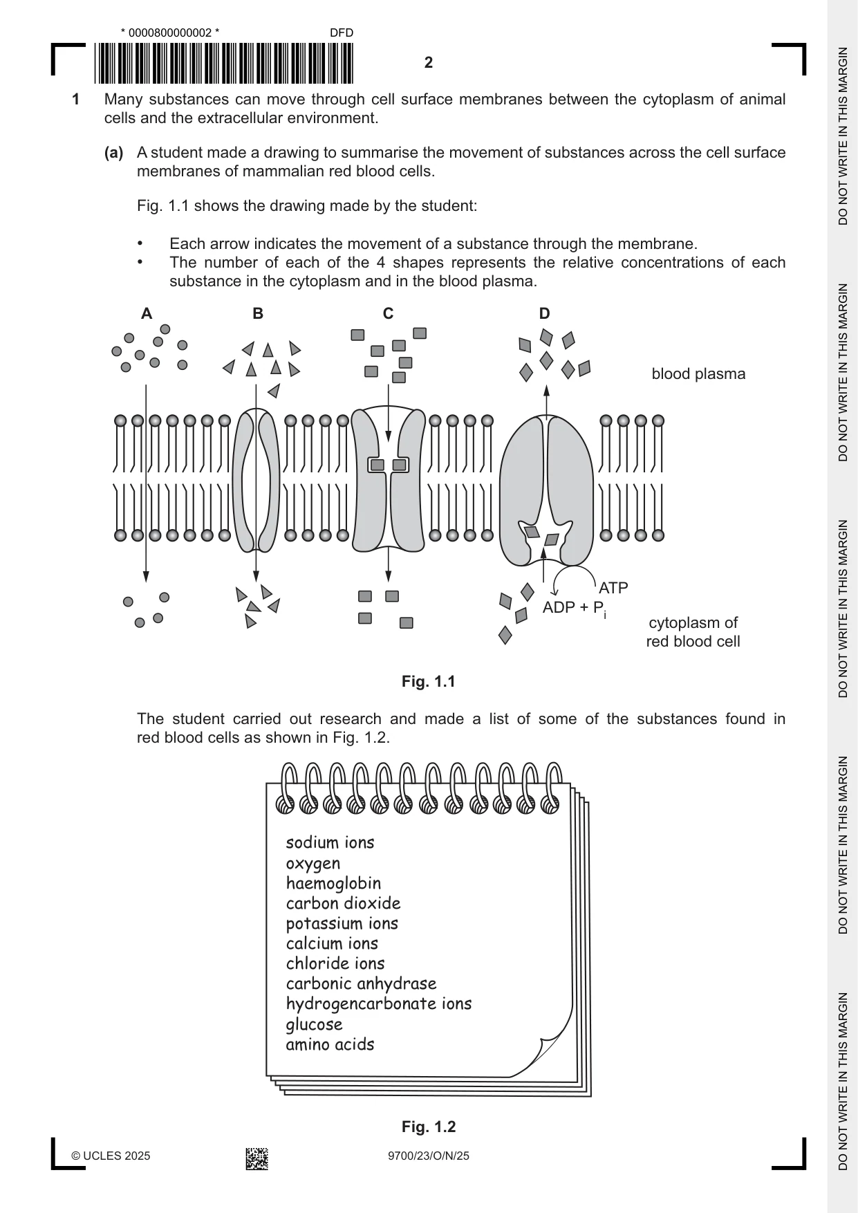 Cambridge A Level Biology 9700 2025 Oct/Nov Paper 2 · Variant 3 question paper, page 2 of 20