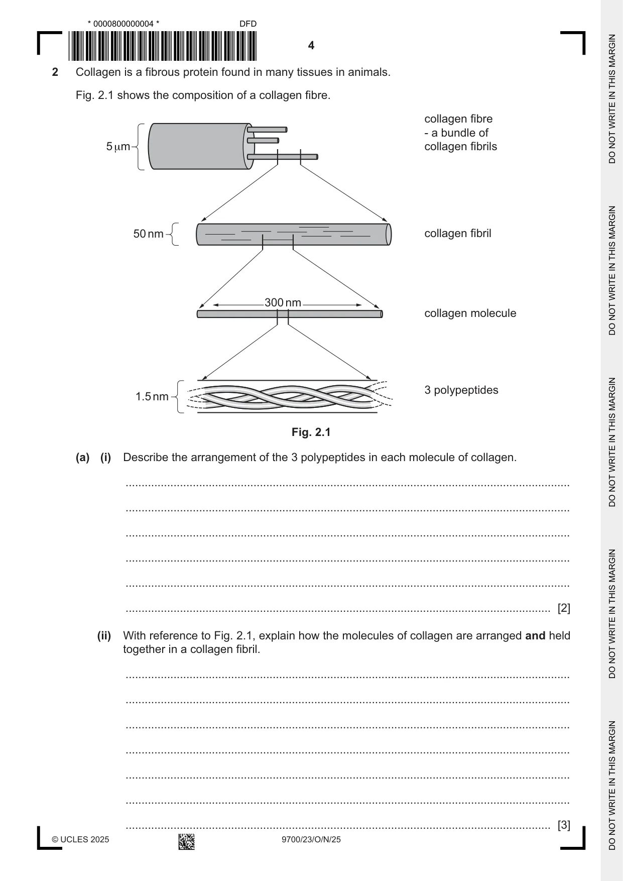 Cambridge A Level Biology 9700 2025 Oct/Nov Paper 2 · Variant 3 question paper, page 4 of 20