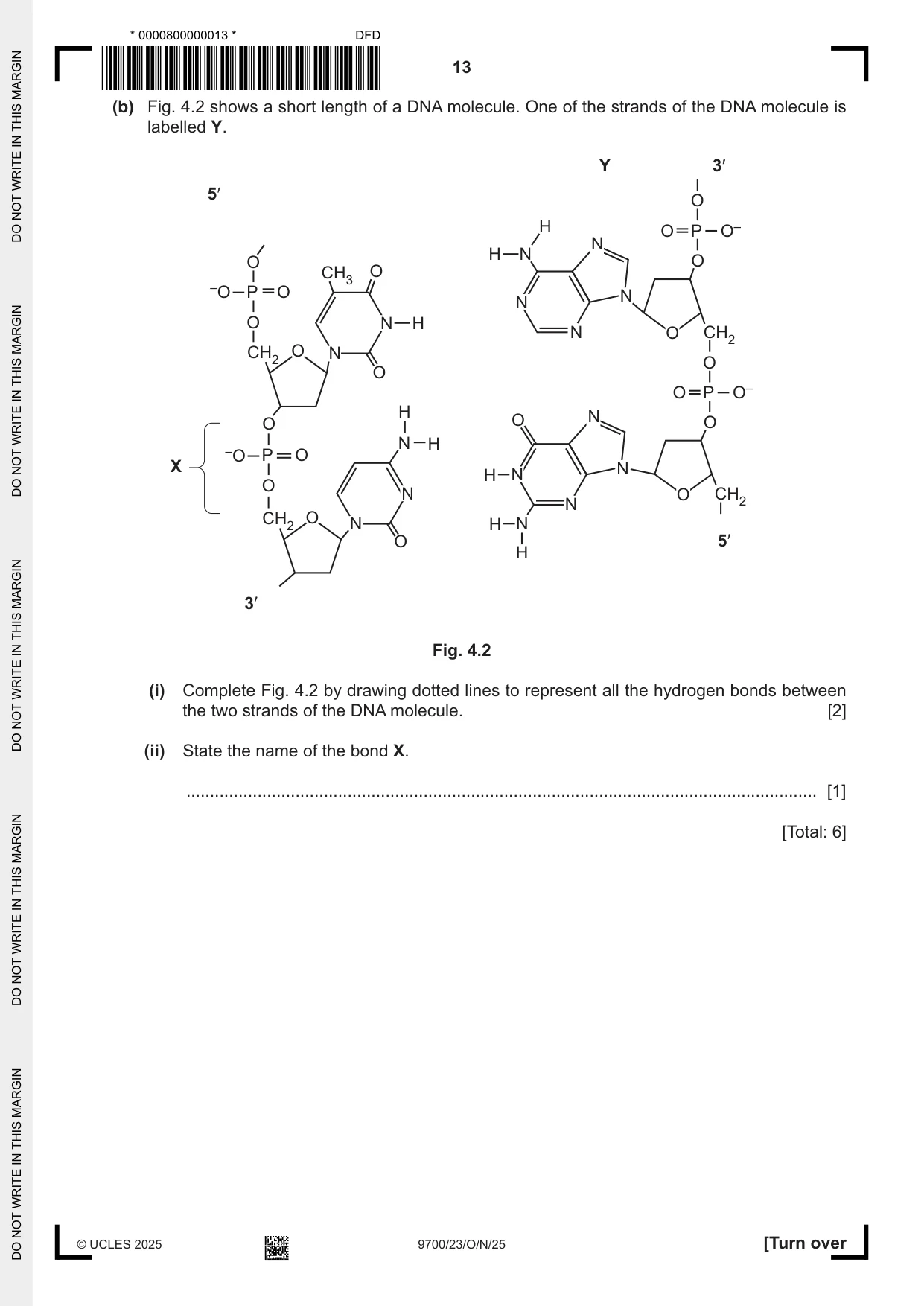 Cambridge A Level Biology 9700 2025 Oct/Nov Paper 2 · Variant 3 question paper, page 13 of 20
