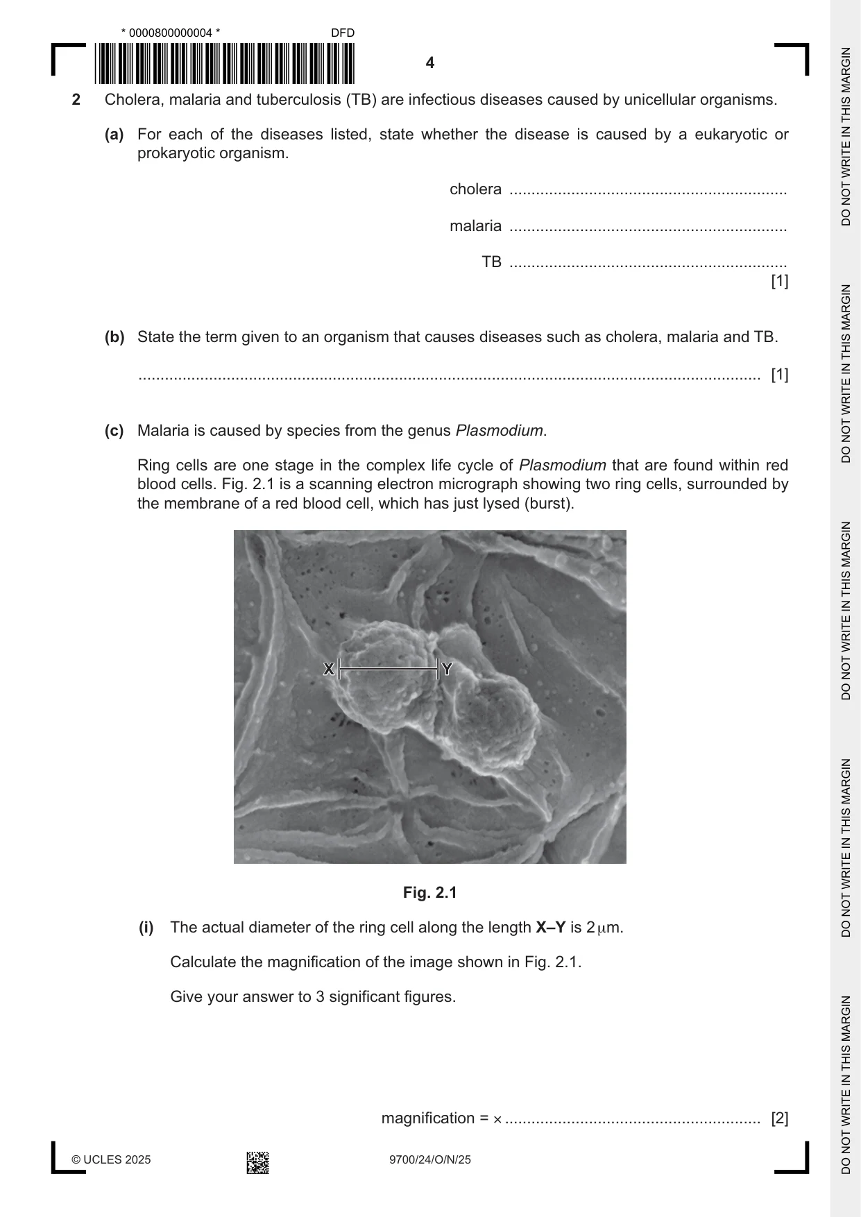 Cambridge A Level Biology 9700 2025 Oct/Nov Paper 2 · Variant 4 question paper, page 4 of 16