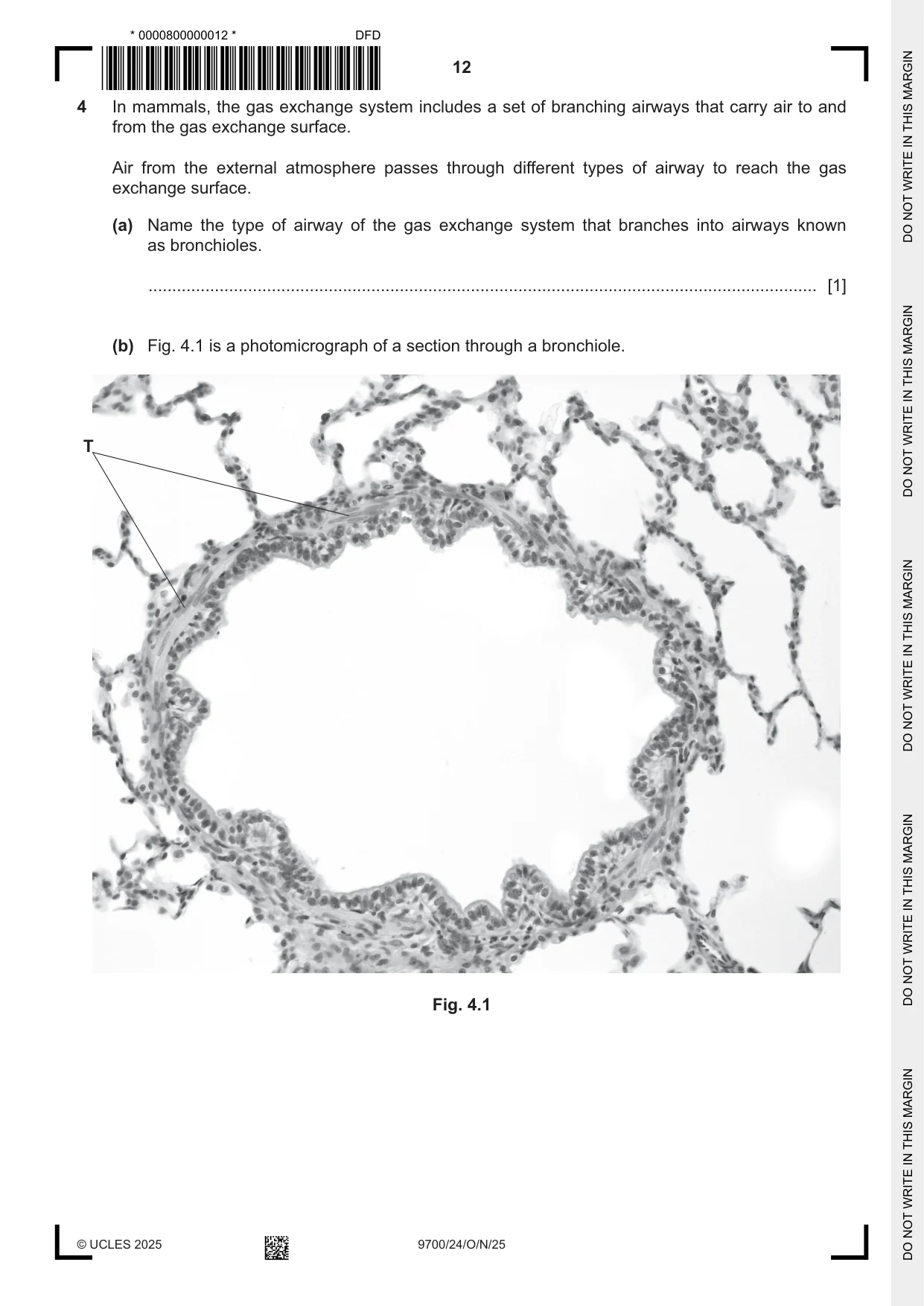 Cambridge A Level Biology 9700 2025 Oct/Nov Paper 2 · Variant 4 question paper, page 12 of 16