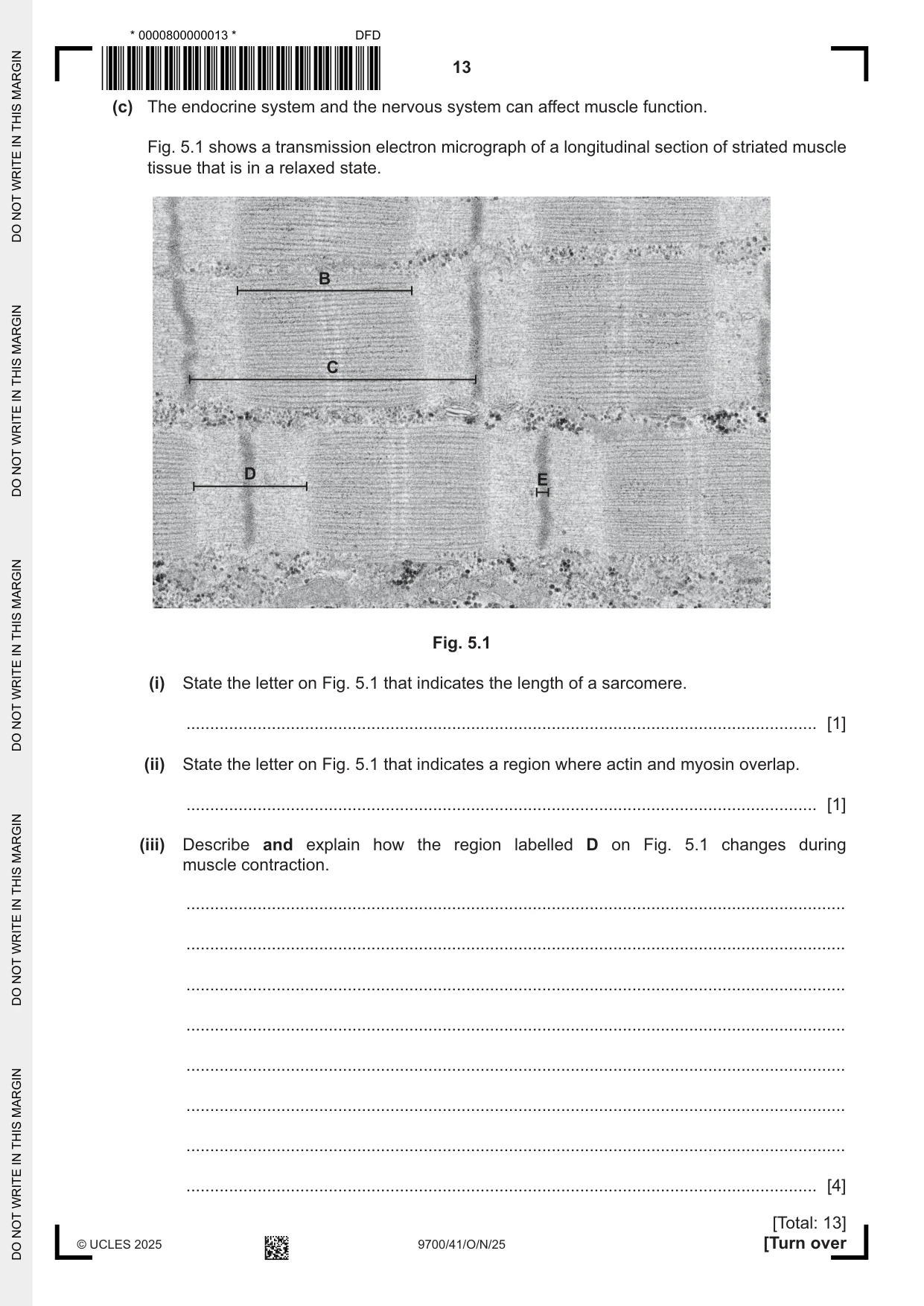 Cambridge A Level Biology 9700 2025 Oct/Nov Paper 4 · Variant 1 question paper, page 13 of 20