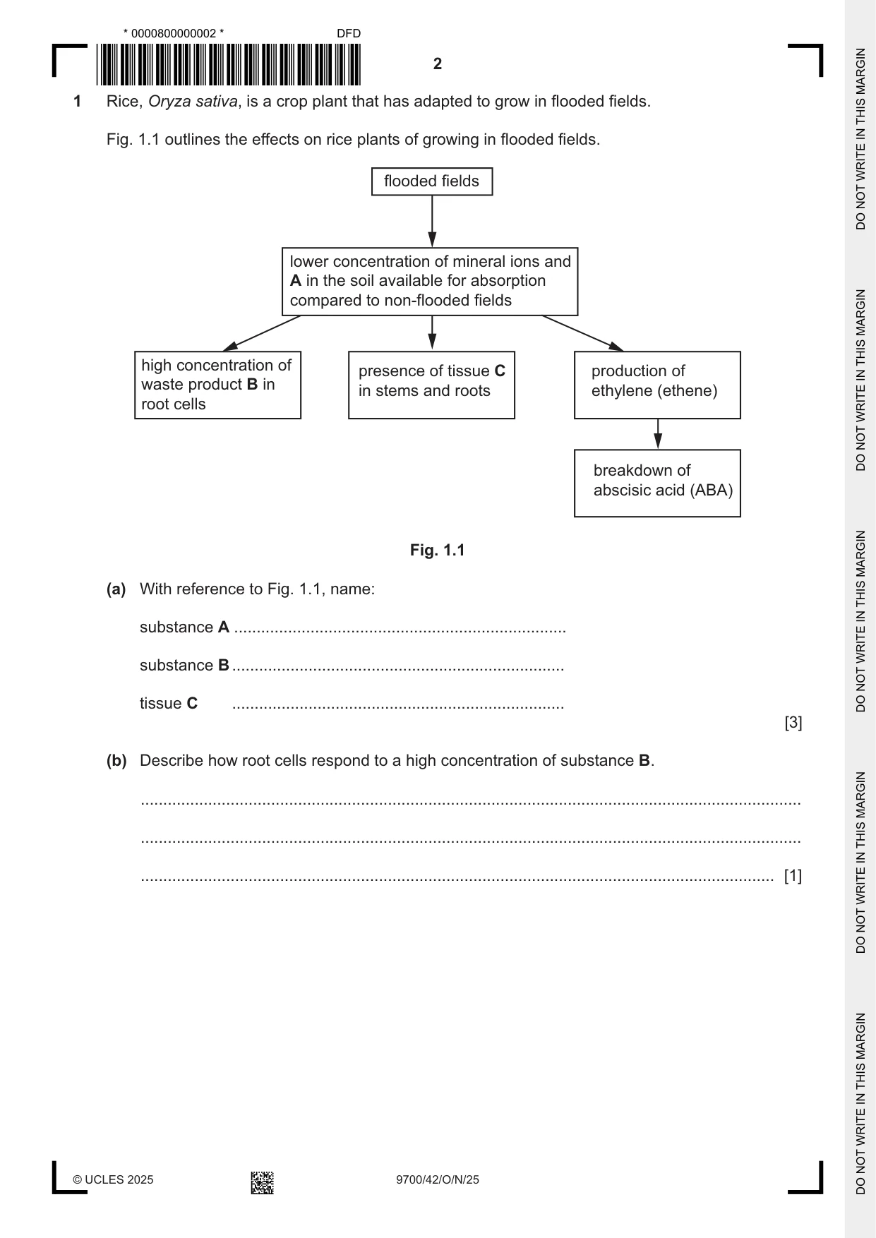 Cambridge A Level Biology 9700 2025 Oct/Nov Paper 4 · Variant 2 question paper, page 2 of 28