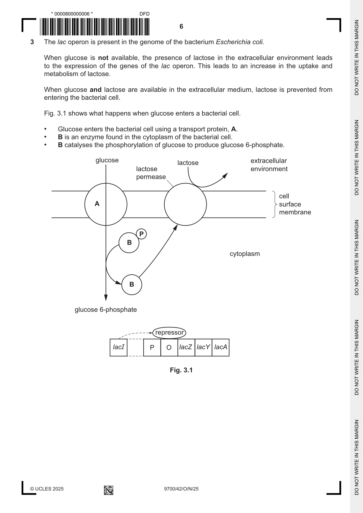 Cambridge A Level Biology 9700 2025 Oct/Nov Paper 4 · Variant 2 question paper, page 6 of 28