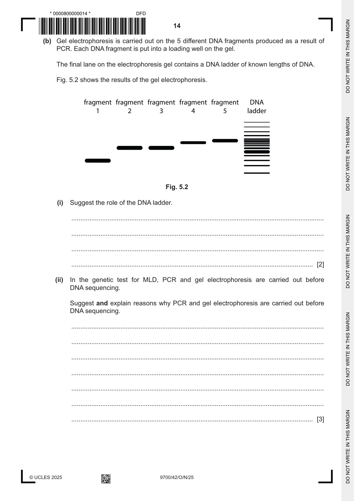 Cambridge A Level Biology 9700 2025 Oct/Nov Paper 4 · Variant 2 question paper, page 14 of 28